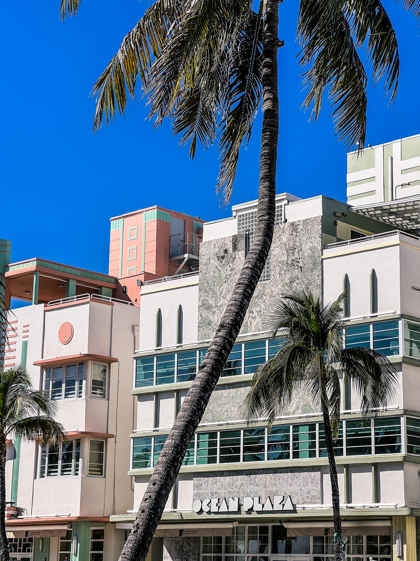 i miss u
i miss your shine
i miss your warm touch on my skin
i miss the smell of salt
i miss the sound of the unknown (always humming nearby)
i keep thinking about what we could’ve been
if i hadn’t been forced so abruptly
like a door slam mid-sentence
evicted
with no legal standing (looool)
i really wish i knew then what i know now
but i didn’t know
i didn’t know how to fight it
nor did i think i could
but now i do
i have all this knowledge
and nowhere to put it
nowhere to express it
(except for an irrelevant instagram post)
o.0
people say “the grass is always greener”
and sometimes it really is
sometimes you really did lose something good
and you’re allowed
to miss it
and so,
i miss u
because you were real
and for that, i am so grateful to ever even have had the opportunity to experience something as magical as you
🦋
.
#soflo #lovealwayswins