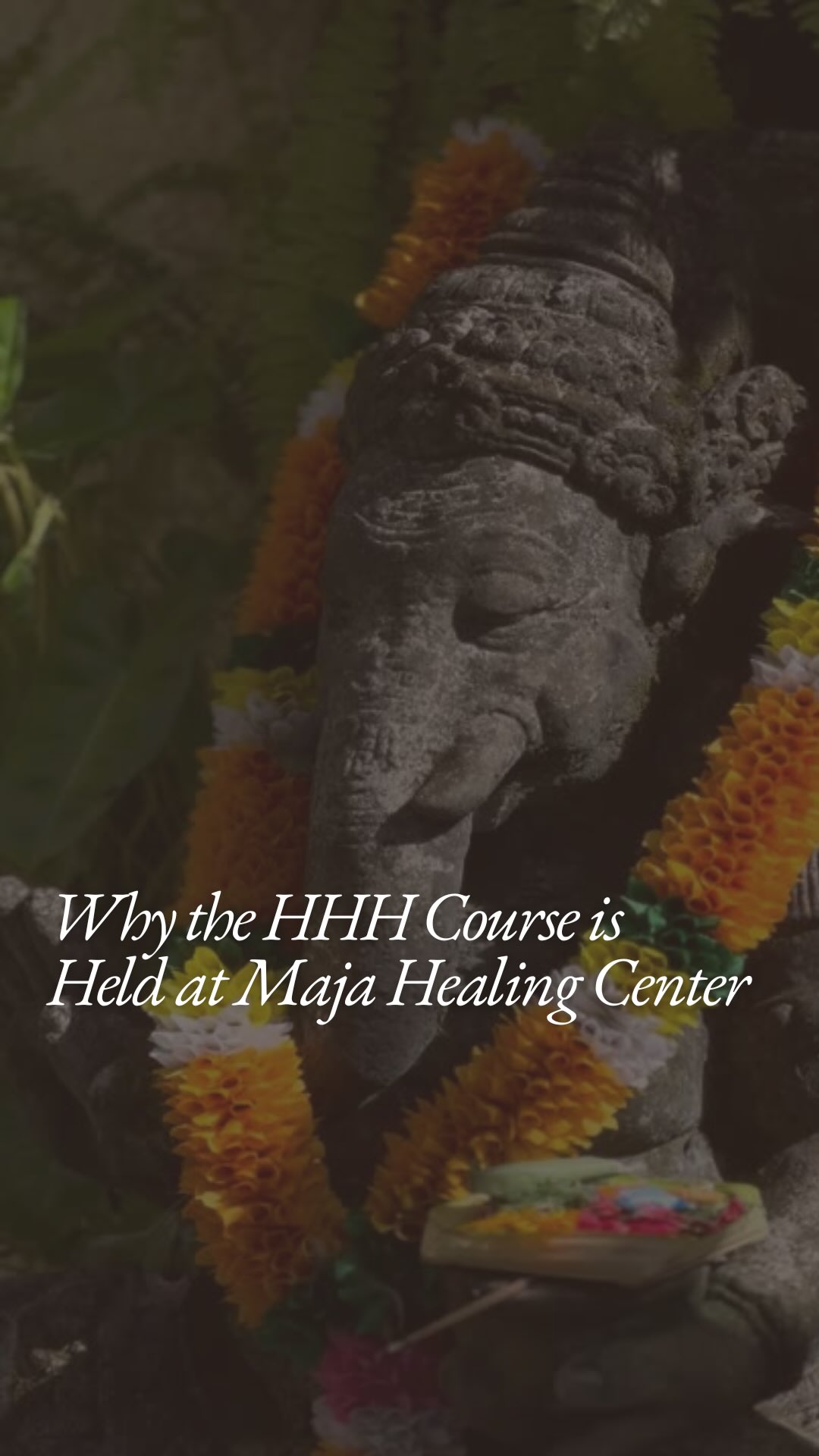 Healing doesn’t start in the session.
It starts the moment you enter the space.
In our new YouTube video, Kartika walks through Maja Healing Center, the home of the HHH Course, sharing why every room is intentional and how the environment supports the work that happens here.
This is why the HHH course is held at Maja Healing Center each year.
Watch the full video on YouTube.