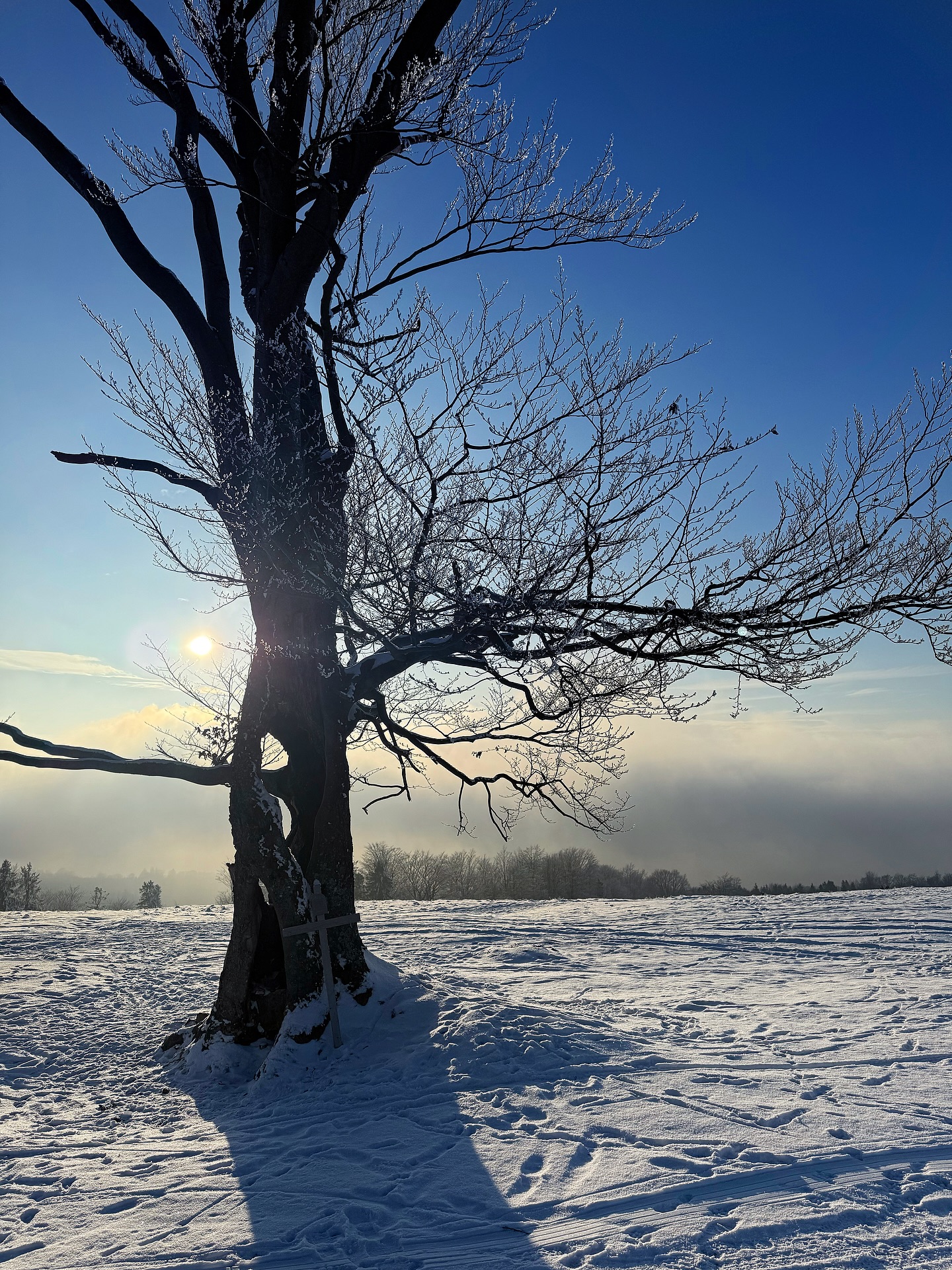 Ahoj przygodo! 🌞
Dziś mam dla Was jakże bogaty zimowy bukiet materiałów z cudnej styczniowej wyprawy na Kotarz! 🏔️
To tylko jedna z wielu atrakcji tego spędzonego w uroczej miejscówce @dom_kawanakotarzu urodzinowego weekendu pewnej „obcej baby” 🤭😘
Ale pozostałe atrakcje zdecydowanie mniej udokumentowane. Bądź też udokumentowane materiałami wymagającymi autoryzacji. Skupmy się więc na tych zimowych landszafcikach 🫣😬
Aura rozpieściła nas wspaniale tego dnia i udało się nawet na sankach troszkę pozjeżdżać! 🤩
W Krakowie takie słoneczne, mroźne okienka pogodowe zdecydowanie rzadsze, więc doceniamy bardzo! 🤗
:::
.
.
.
.
.
#bartoszciba #błogostan #kawanakotarzu #ładowanietwórczejbaterii #kotarz