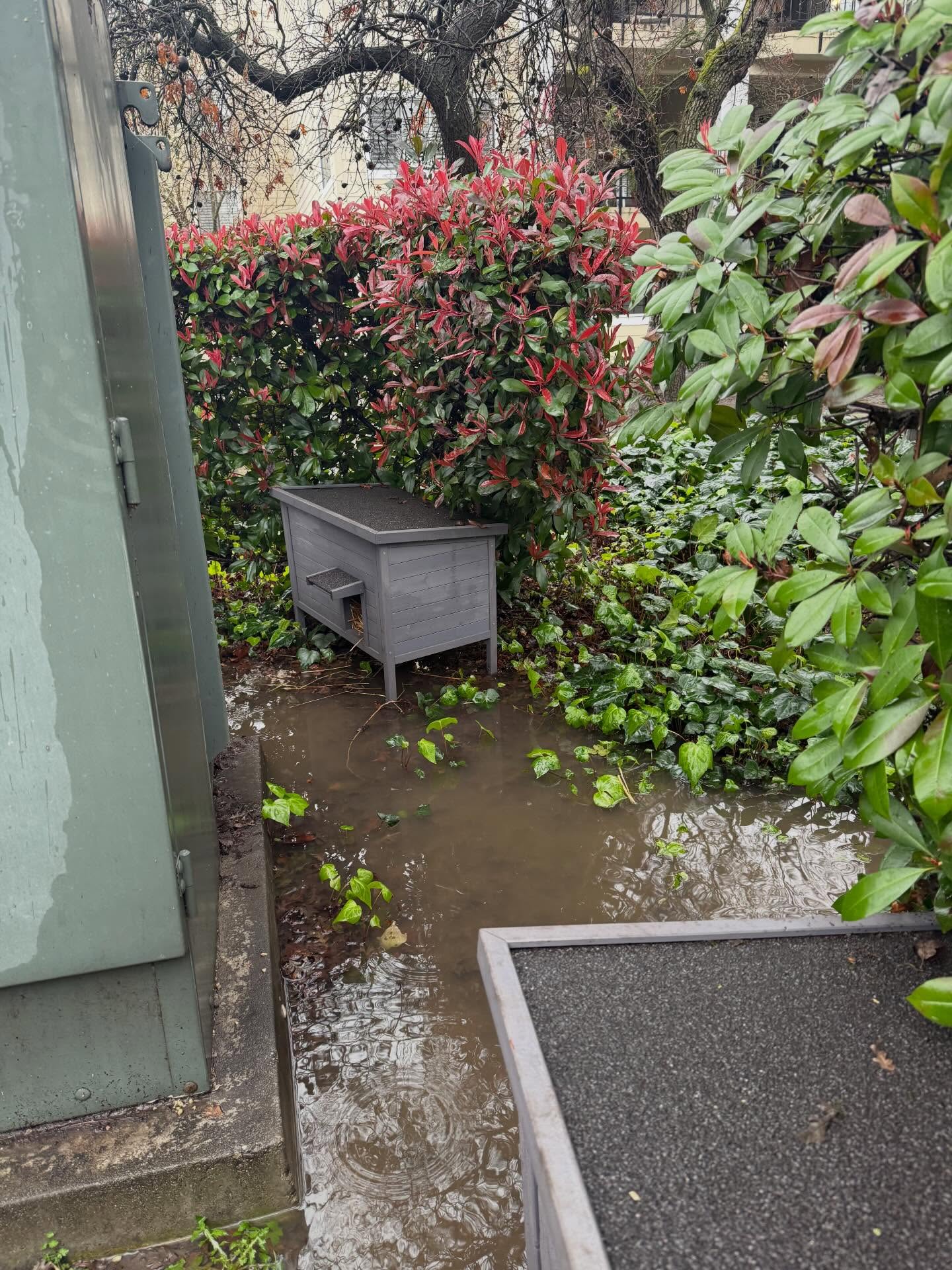 Not the easiest feeding day for our OCW colony 💔Half of our feeding stations were flooded, but every single kitty was still cared for and fed.
Some stayed safe and dry in their shelters, the others got gentle towel-dry snuggles… all except Mean Kitty, who was not impressed with my help 😞
Days like today remind us how important safe shelters, dry bedding, and steady support are for these sweet souls. We’ll keep showing up for them—rain or shine—because they depend on us.
If you’d like to help us replace wet supplies, provide dry bedding, or support the colony’s ongoing care, you can here
💙www.oreoshaven.com
Every bit of kindness helps keep these precious lives safe and fed. Thank you for always standing with Oreo’s Haven and the cats who call OCW home. 🐾