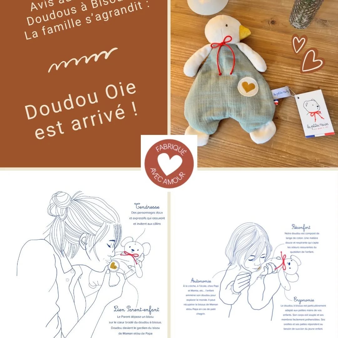 Doudou oie est arriiiiiiivé !!!!