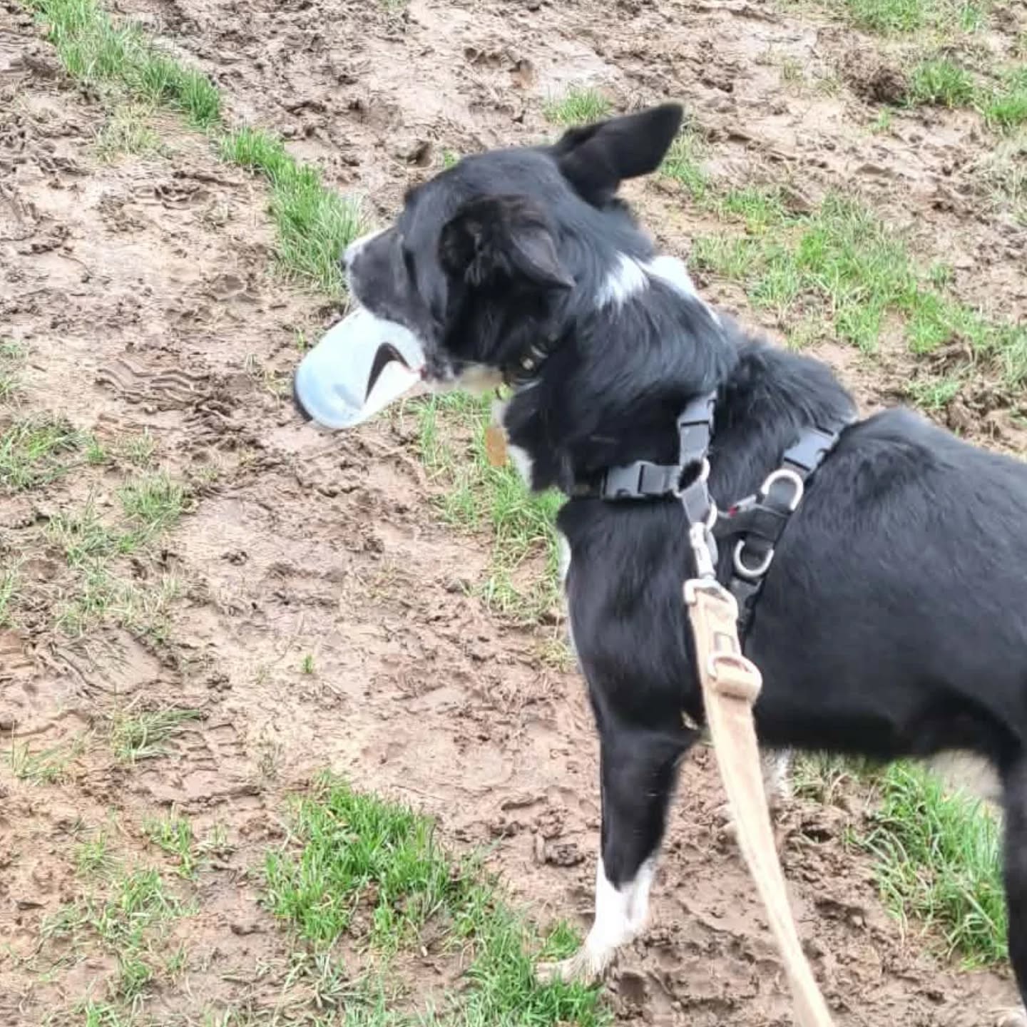 Erm...anyone lost a shoe?! ๐