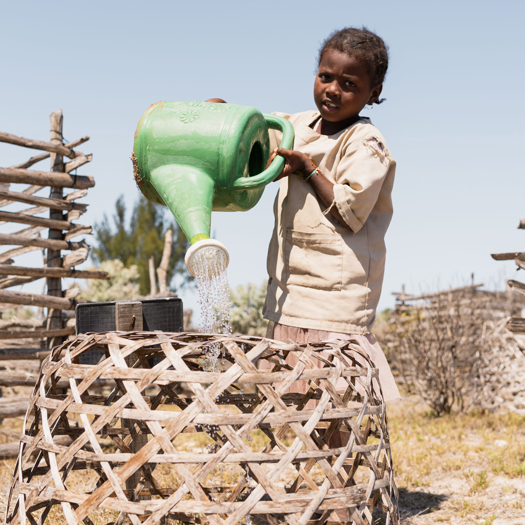 Chaque année, notre programme « 1 élève = 1 arbre » traduit notre volonté d’ancrer l’éducation dans l’action environnementale.
Cette année, 527 arbres nouveaux vont être plantés par les élèves de CP1 de chacune des six écoles primaires.
Tout au long de sa scolarité, l’élève aura la charge de cet arbre, qui porte son nom. Cette initiative engage l’élève dans le développement de l’arbre, porte les actions d’abc domino pour la reforestation dans les périmètres des écoles et garantit un impact durable sur l’environnement.
#arbres #madagascar #education #primaire #scolarité #écoles #impact #ODD #environnement