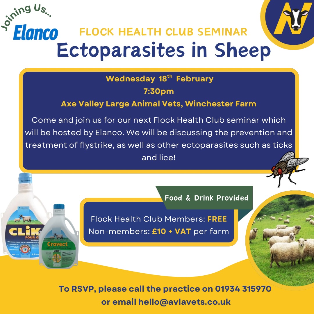 You’re invited to join us at our next Flock Health Club seminar on Wednesday the 18th February (next week!) Elanco, who make both Clik and Crovect, will be joining us to discuss the control and prevention of ectoparasites in sheep - this includes flies, ticks, lice and mites 🐑 🪰
We’ll be meeting at the practice at 7.30pm and food and drink will be provided. It’s free for FHC members and £10 per farm for non-members - Please let us know if you’ll be attending 😊