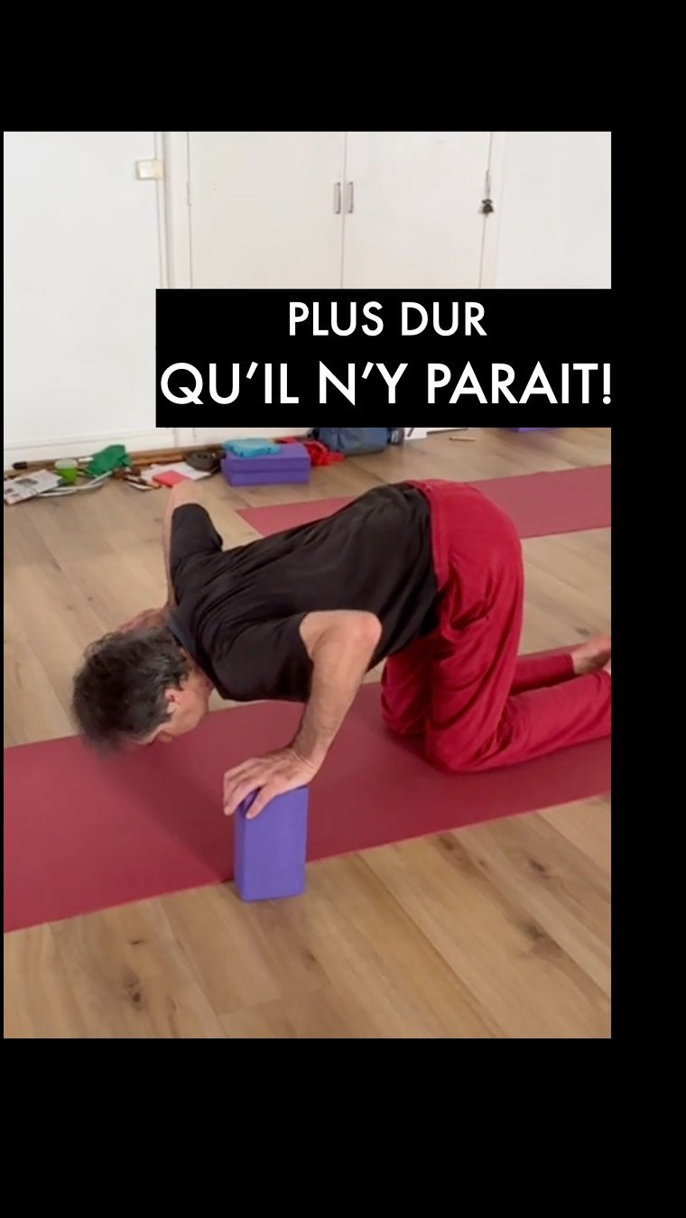 Plus dur qu’il n’y paraît ! 🧱🧱💎
Dans cette archive de stage de Yogathérapie, on explore une consigne qui change tout pour vos épaules : laisser passer le rachis « au-dessus » des omoplates.
Pourquoi c’est une énigme ?
🔎 La plupart des gens s’effondrent entre leurs omoplates dès qu’ils s’appuient sur leurs mains.
Résultat : la structure se pince, les coudes se bloquent et le souffle se fige.
Le conseil de Cath et Serge :
1/ Libérez les coudes :
empêchez-les de se rapprocher pour sentir vos omoplates glisser réellement.
2/ Ne subissez pas le poids :
cherchez à ce que le rachis ne s’effondre pas entre les épaules.
3/ L’image du chat :
placez votre tête dans un « beau creux », comme un félin agile 🐾.
Ce n’est pas un exercice de force, c’est une rééducation de votre biotenségrité.
Que vous soyez curieux ou professionnel, nos Bilans Posturaux Yoga et nos Formations de Yogathérapie posturale sont là pour vous donner les clés de cette réorganisation.
🔗 Toutes les infos sont dans le lien en bio
ou en premier commentaire sur Facebook.
Ou notez INFO en commentaire !
#Biotensegrité #YogaTherapie #épaule #posturo #cathetsergeyoga
