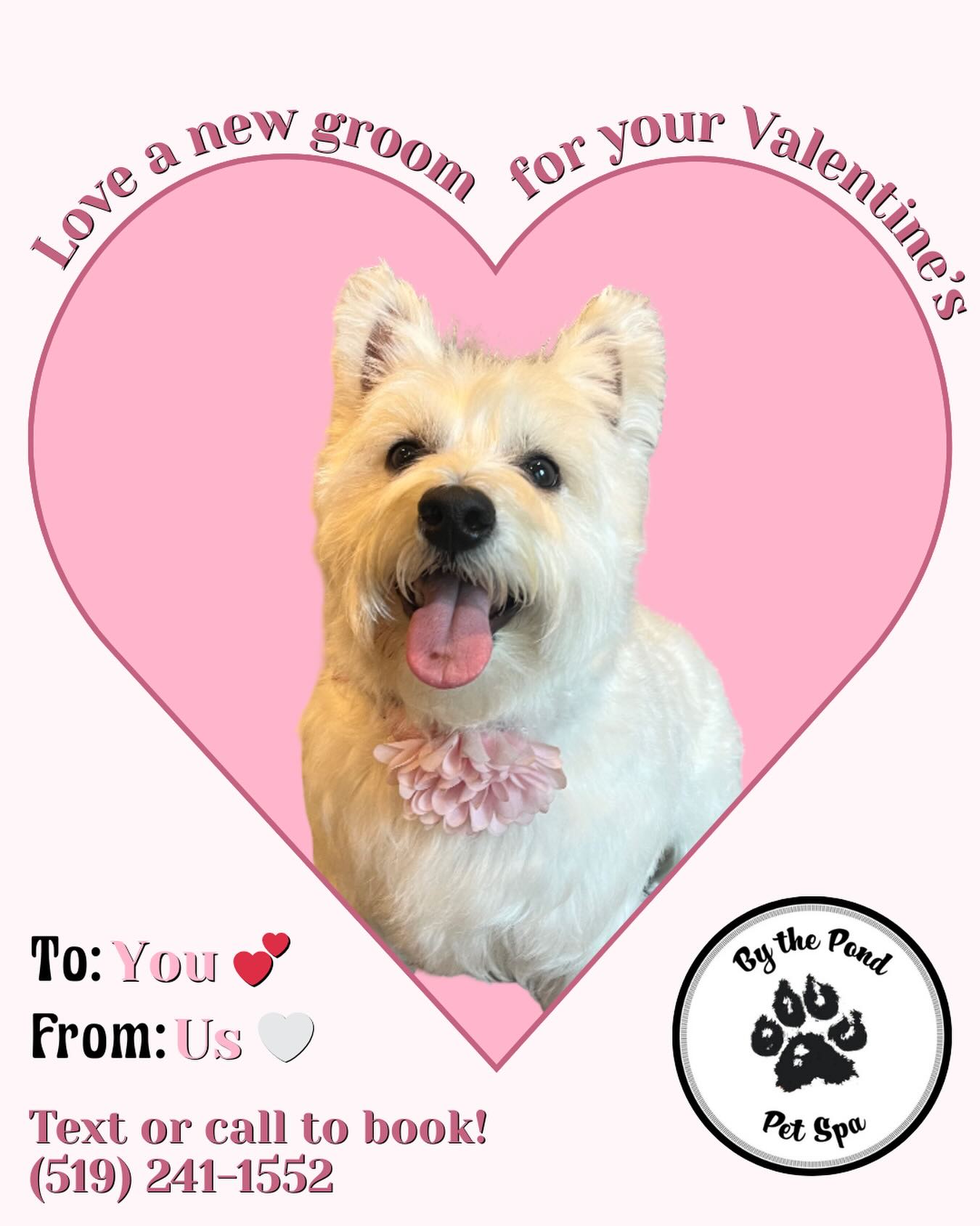 book your furry Valentines in for a groom for the celebration of love 💓
Text or call us to book your dog in at By the Pond Pet Spa: (519) 241-1552
#valentines #doggroominglife #doggroomers #cambridgeontario #doggroomingsalon