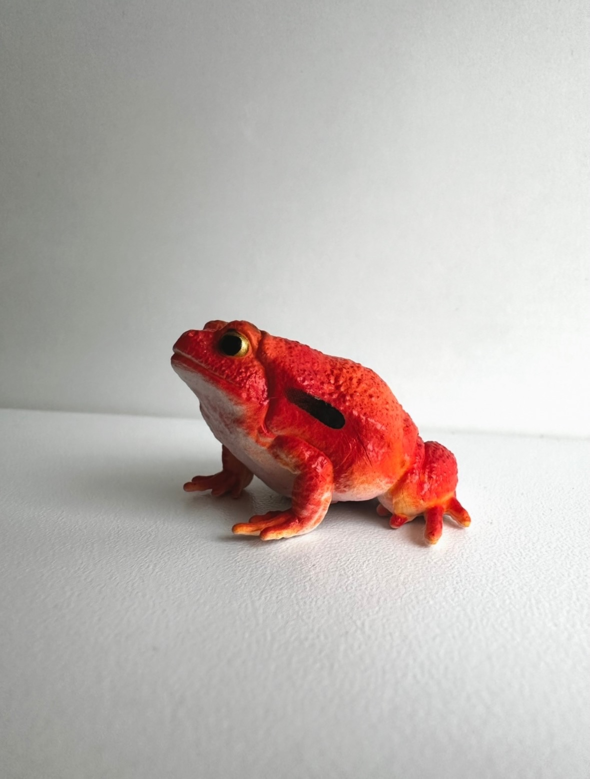 Жаба-помідор Toymany. Ціна 160 грн #земноводні_animals_svit #wild_animals_svit #фігурки #іграшки #африка_animals_svit