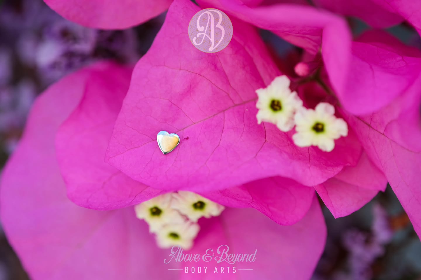 Happy Valentine's Day folks 🥰
Looking to for a memory to make with you and your loved one(s)? Or perhaps trying to treat yourself?
We are open today 11am - 7pm and accepting walk-ins!
Get a new piercing or some new jewelry for your existing ones - including this perfectly festive @anatometalinc Titanium Heart!
#safepiercing #valentinesday #piercing #bodyjewelry #santabarbara