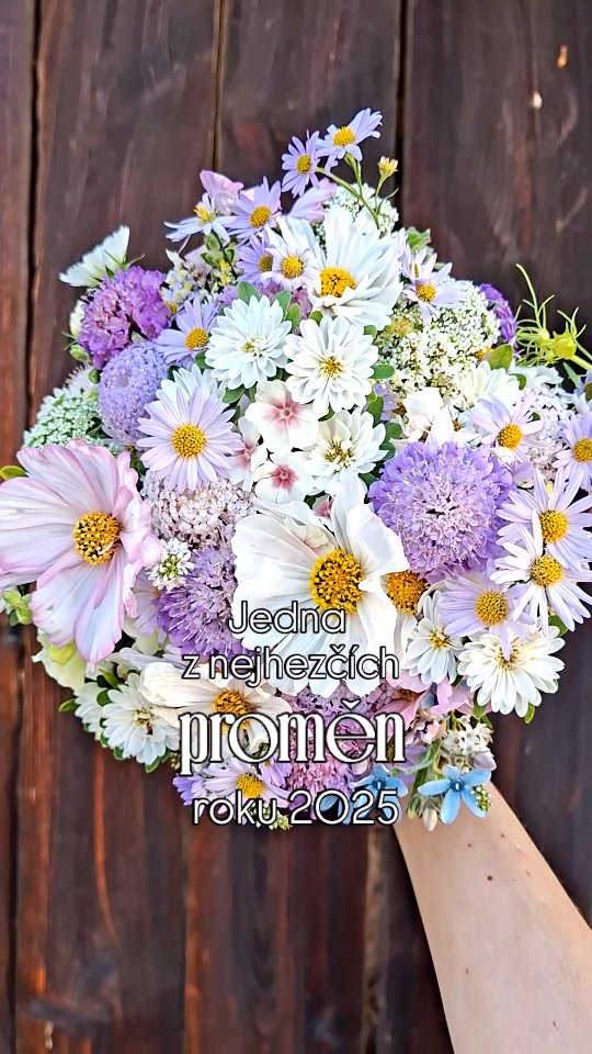 Svatební kytice PŘED a PO neboli na památku v obraze.
No a proč jedna z nejkrásnějších proměn?
Svatební kytice byla překrásná! Nevěsta si navíc zvolila moji nejoblíbenější kompozici "rozházené květy". A světlý jasanový rám je taky můj milovaný. Tahle práce pro mě byla radost.
Co vy na to?
Chcete vidět víc takových proměn?
⬇️
Tak mi dejte ❤️
Klikněte na SLEDOVAT
A napište mi do komentáře něco, třeba 🤩
Jinak už se vám moje příspěvky nejspíš příště neukážou, žejo.