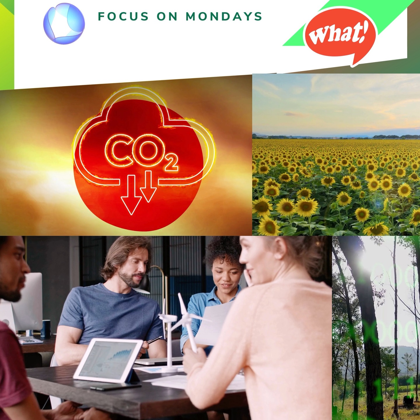 @mo.eco_art MonacoEcoArt.com #focus #Monday #carbon #offsetting #climate #action 🤏What is Carbon Offsetting? 🤔 …a new printing system?, Not exactly, let’s find out more 🏭🔰Carbon offset (CO2 offset) is a #strategy that allows #individuals and #companies to #balance their greenhouse gas emissions by funding external #projects able to #reduce, avoid, or remove an equivalent amount of #carbon dioxide from the atmosphere: it consists on the purchase of certified carbon #credits to achieve "carbon neutrality", the state of achieving net-zero carbon dioxide, by reducing emissions through energy #efficiency, renewable #energy, #reforestation and carbon capture #technology 🔬🛡️ Credits are issued by special international bodies and high-quality values: 1 carbon credit generally corresponds to 1 ton of CO2 or equivalent avoided or absorbed; thus, it does not replace the reduction of direct emissions, but it acts as a complementary measure for residual emissions, essential for approaching "net zero", while contributing to improve brand reputation and combating climate risk in line with the United Nations Sustainable Development Goals (Agenda 2030) – SDGs 💵🔙 Carbon Offsetting dates back to the 1980’s when some private companies felt the need to invest in effective actions to counterbalance the polluting impacts of their activities: in 1988, the World Resource Institute – WRI – (leading research organisation) warmly invited the energy company, Applied Energy Services, to plant trees and slow deforestation in Guatemala to offset the emissions of their coal plant in the United States: this is considered the first example of Carbon Offsetting ♻️ 🌐 Credits are generated by voluntary virtuous initiatives and projects aimed either at reducing emissions outside one's own production or business chain or at removing CO2 from the atmosphere, adding to the climate component the contribution to community development and to the protection of biodiversity in order to compensate conventionally those emissions resulting from the production process that cannot be zeroed otherwise, accelerating global decarbonisation, expected for 2050 📸 🎬 © Copyright: MonacoEcoArt Stories