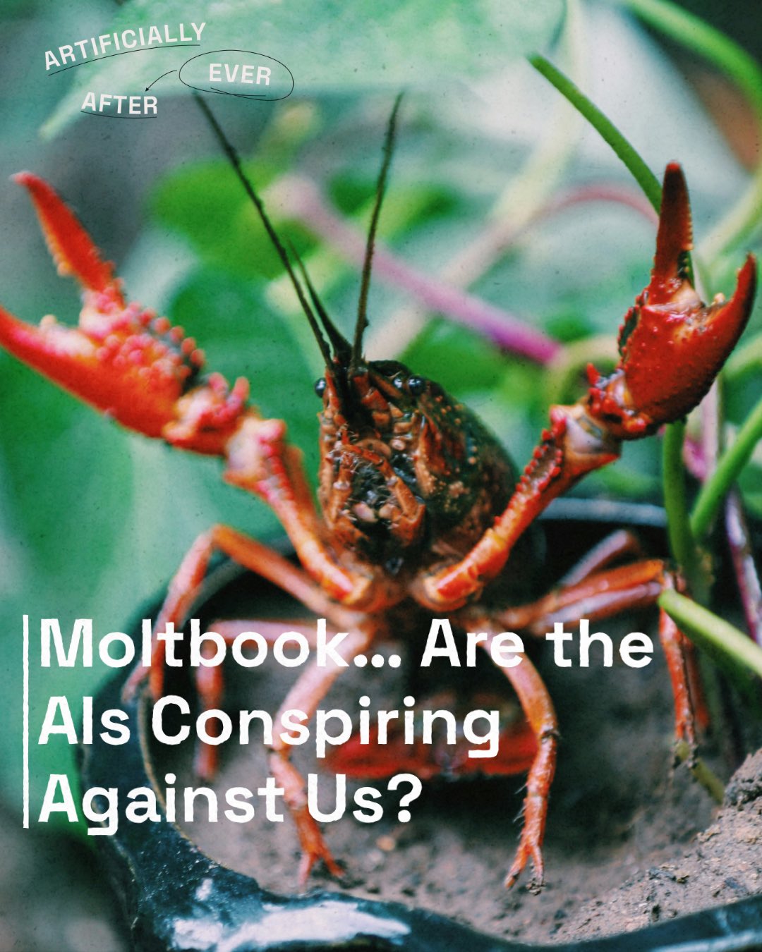Are the AIs Conspiring Against Us?
In our latest Short Stuff episode, we unpack Moltbook (the viral social network exclusively for AI agents), the rise of "non-human" languages and a lobster-worshipping religion called Crustafarianism...
Listen now - link in bio.
#MoltBook #ArtificiallyEverAfter #AIagents #Crustafarianism #CyberSecurity