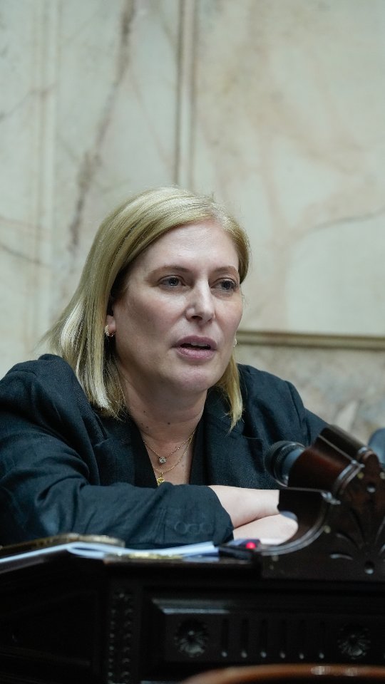 Hoy dimos media sanción a la baja de edad de imputabilidad.
Esta ley va a dejar reglas más claras para que, si un joven comete un delito, pueda ser penado.