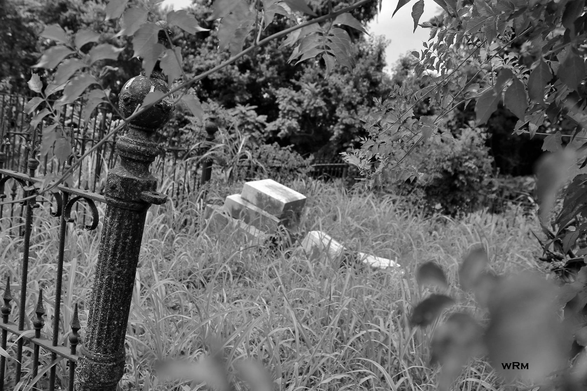 Elizabethtown Cemetery, Elizabethtown, IL
#cemeteryphotography #abandonedcemetery #elizabethtown #cemetery #cemeteryshots #illinoiscemeteries #oldcemetery #blackandwhitephotography