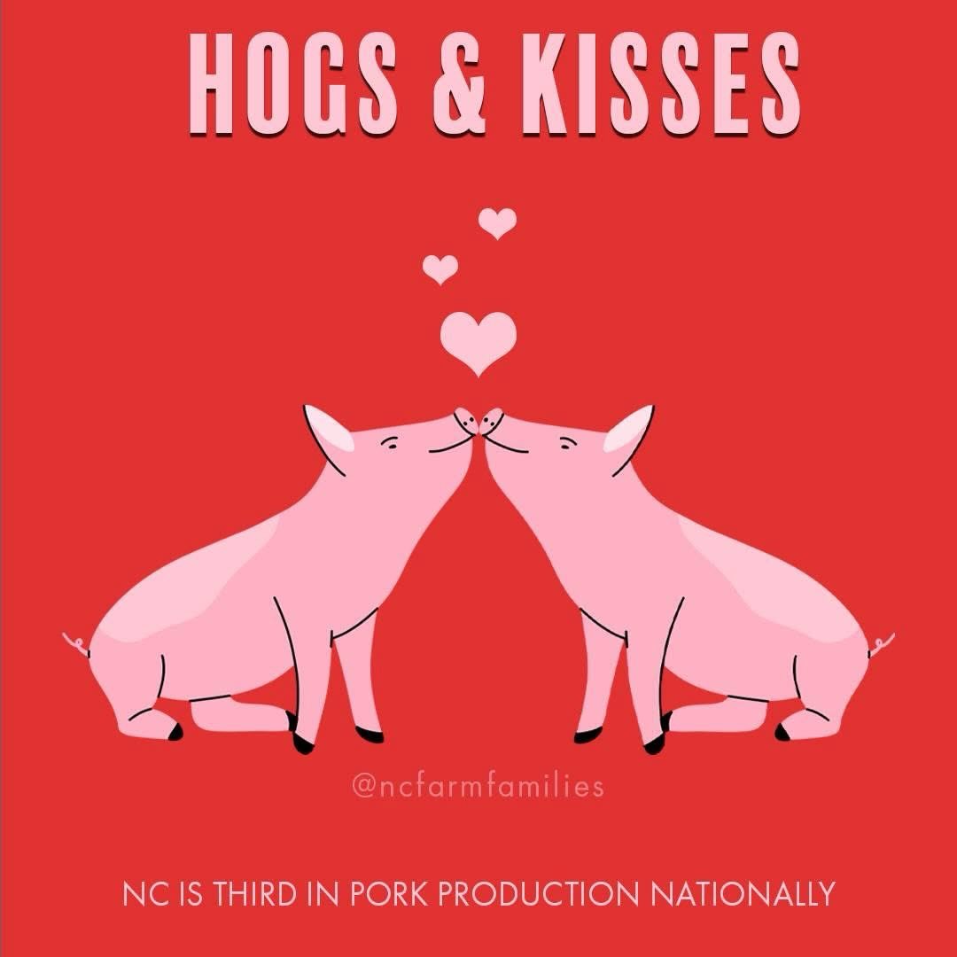 Happy Valentine’s Day from Ellis Farms! ❤️