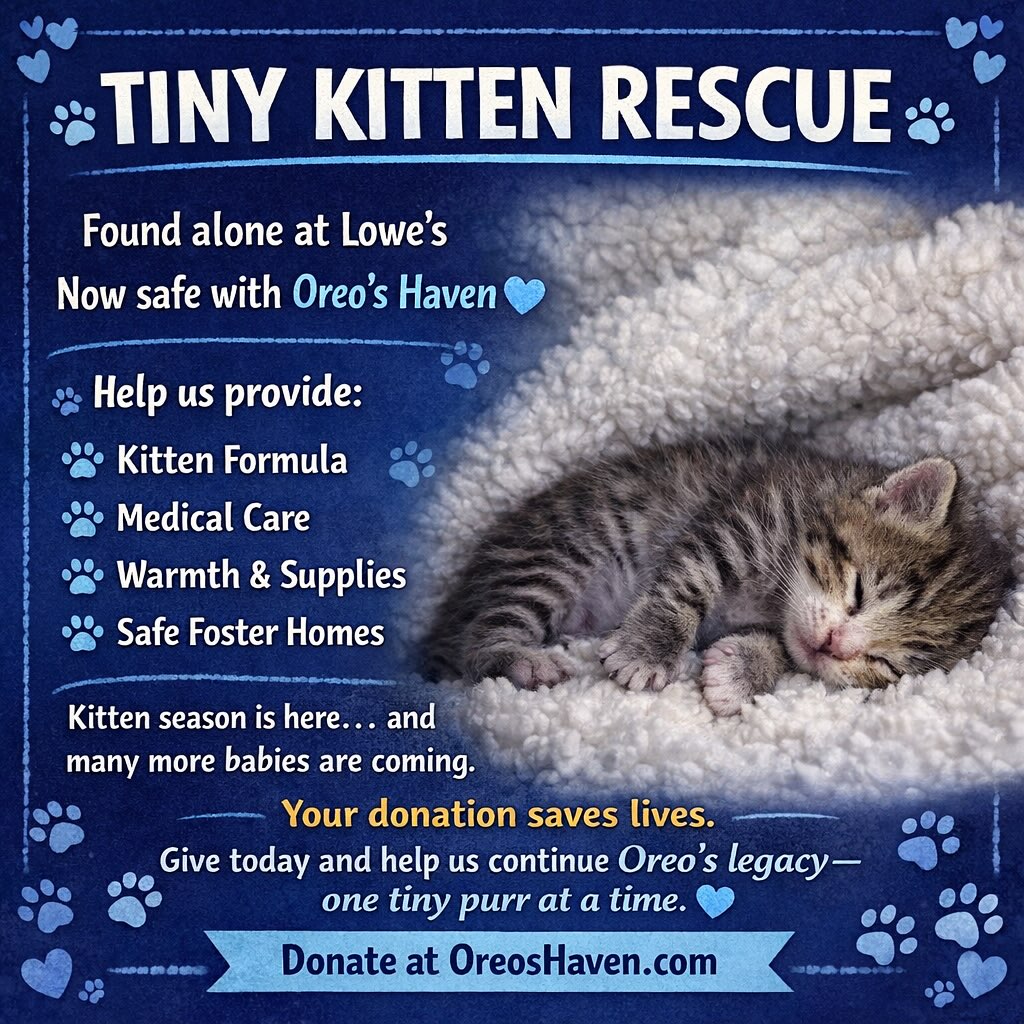 Our newest little member!!🐾💕