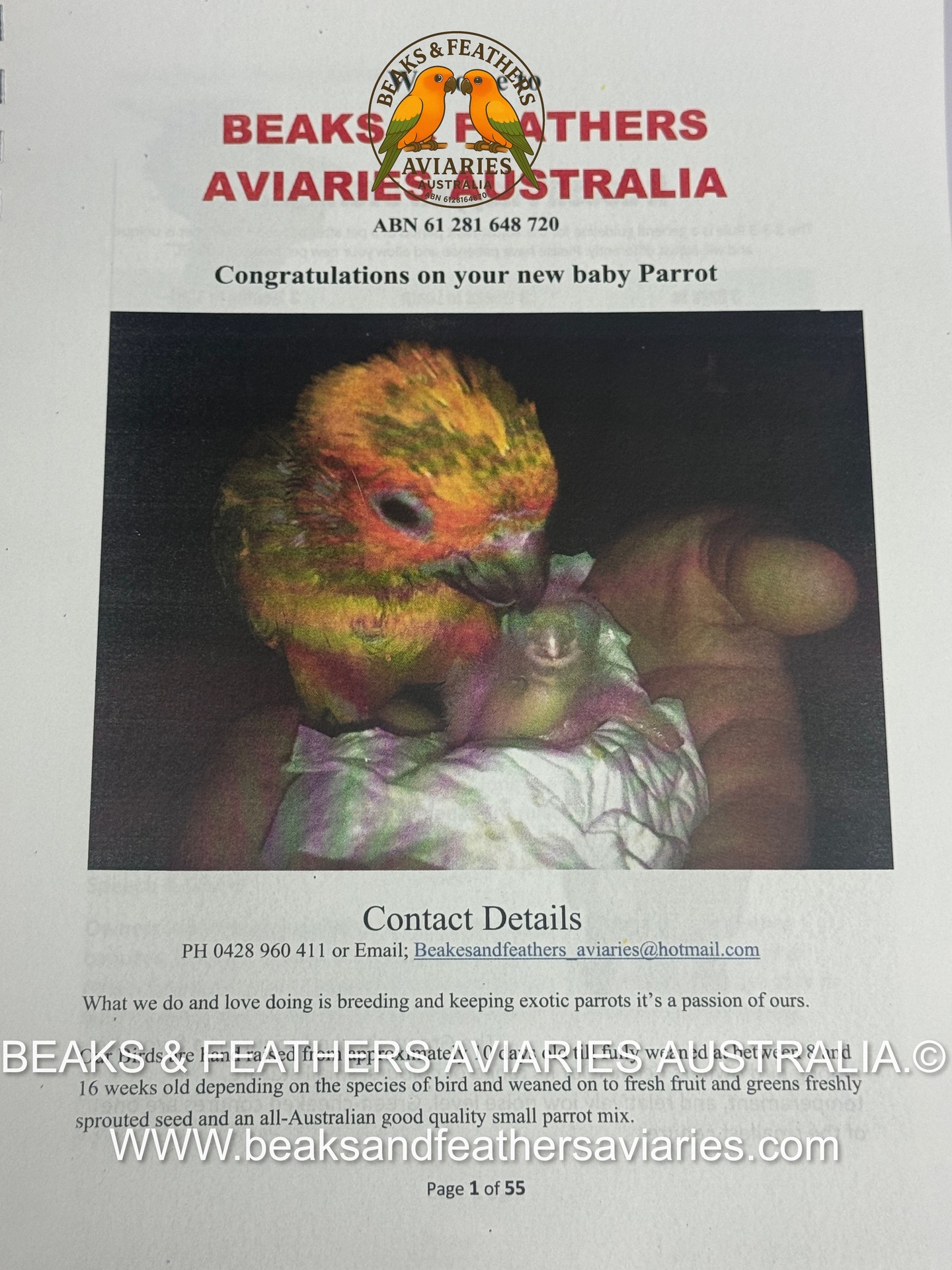 What we give people that choose us for their new forever babies.
We have put together a hand out care booklet for all the different types of Conures, Caiques, and Amazons we keep, to help give to best care and a happy healthing long future for both the new owner and their new baby 🥰🥰#babyparrots
#cutebabyparrots
#handraisedparrots
#parrotlove