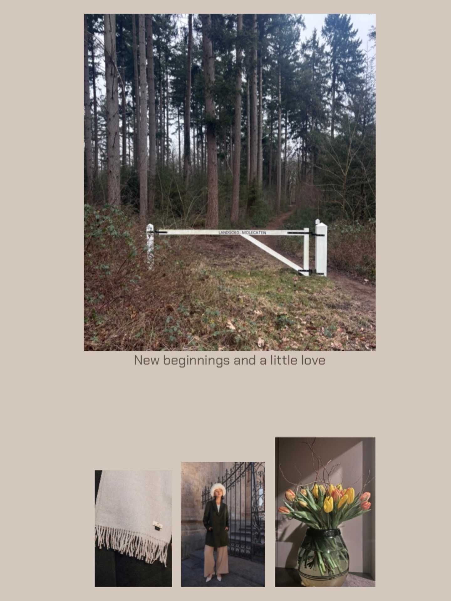 New beginnings and a little love.
#SoftNorthMoods #NewBeginnings #SlowAesthetic #EditorialMood