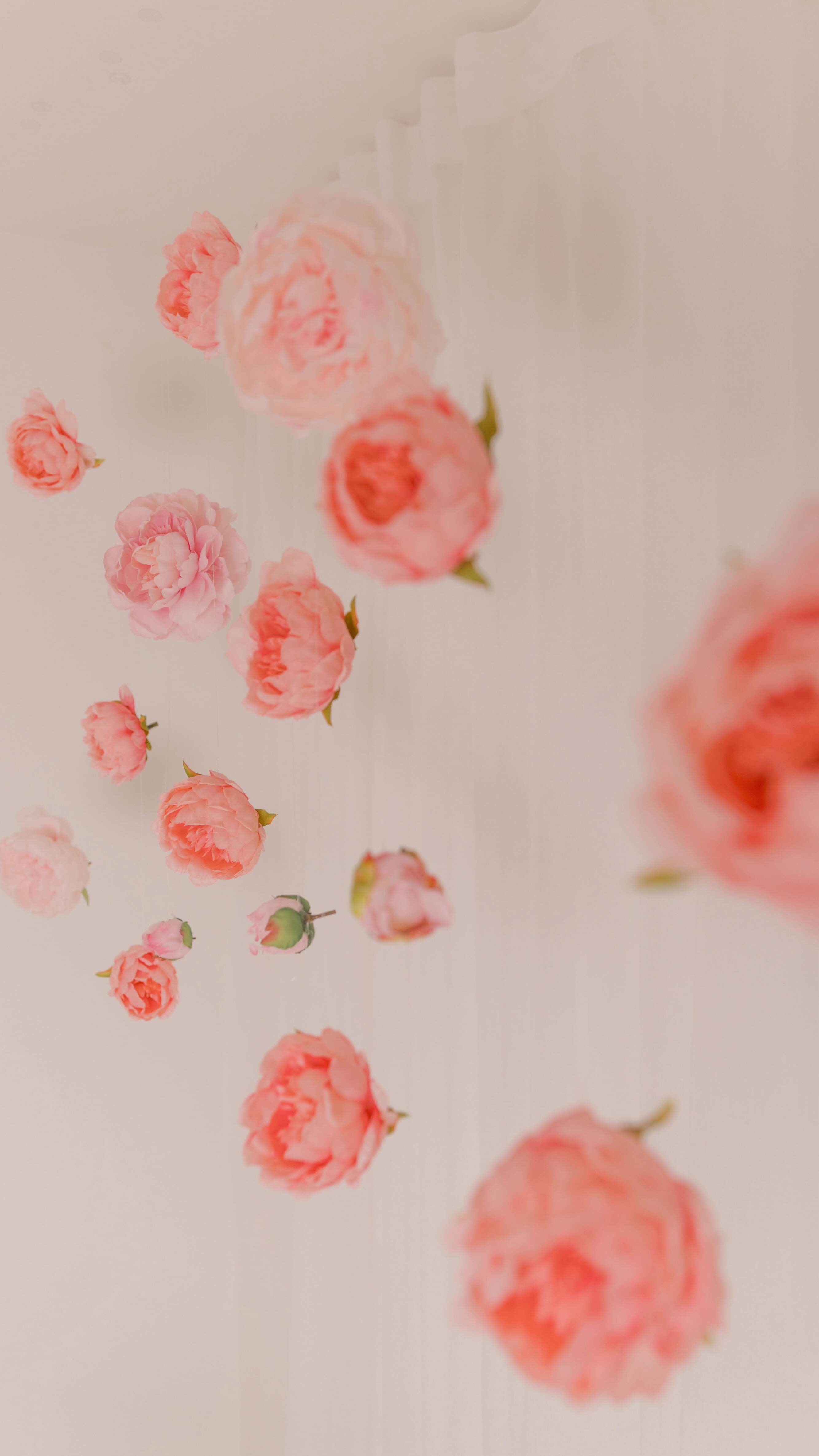 ๐ธ The Mama Edit - Link in Bio ๐ธ