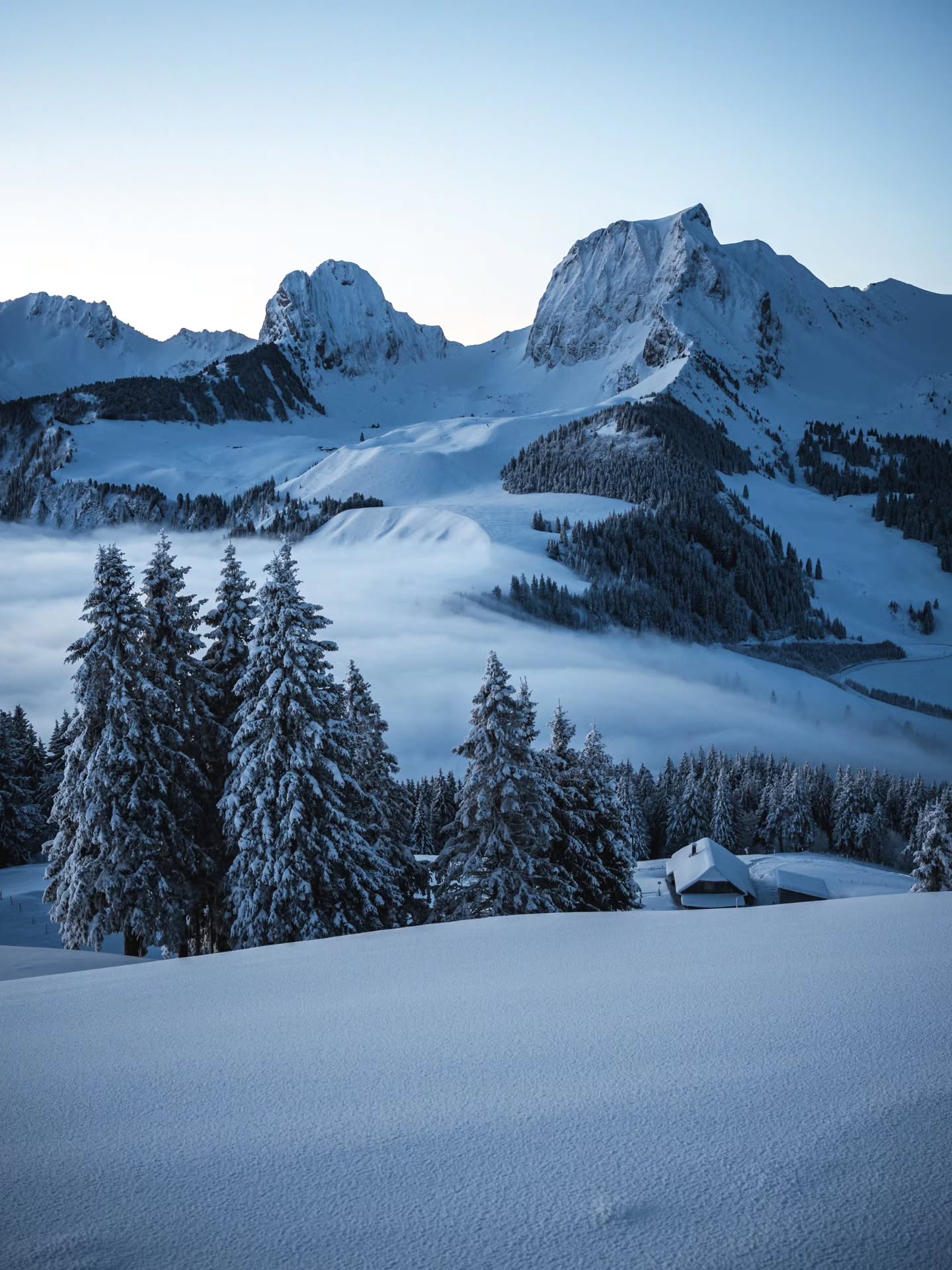 Some blue hour frames and gentle fog waves from last year's february, when winter was more than a distant memory.
#gantrisch #photography #naturephotography