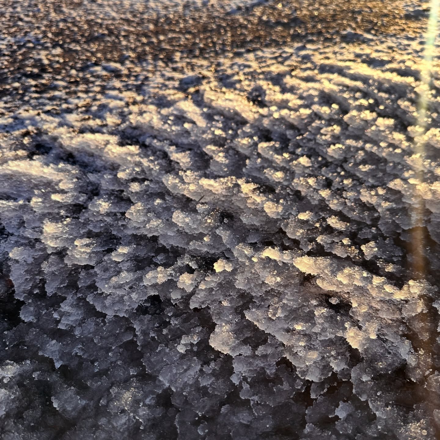 This mornings funky icy formations on the drive #snow #ice #winter #bloodybaltic #freezing