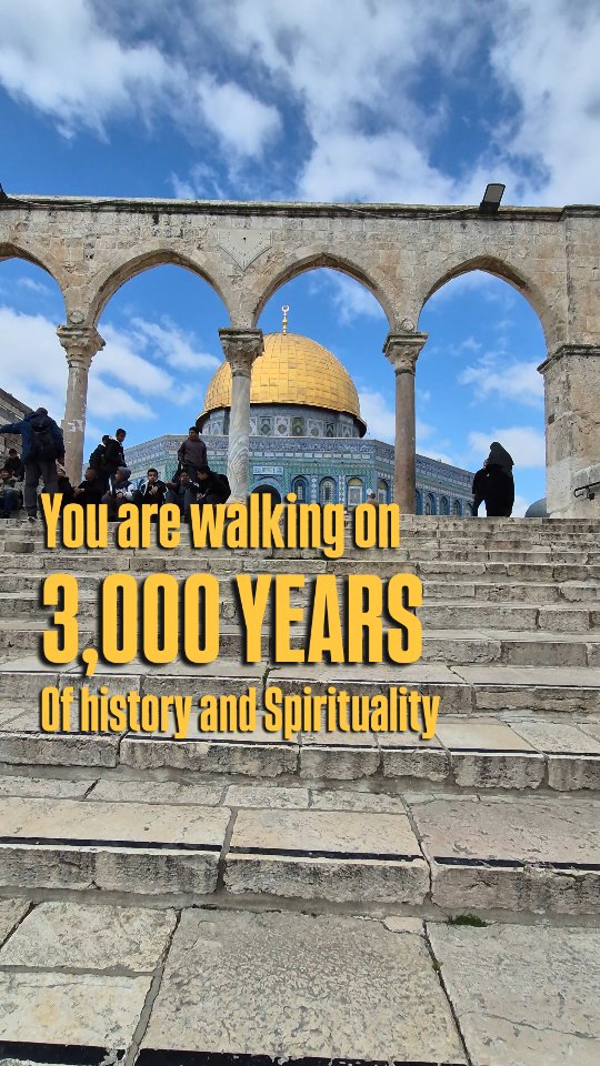 Temple Mount in Jerusalem is one of my favourite places in the world. Stepping in and walking up the stairs you just FEEL how special this place is. 3,000 years of history from First Temple of Solomon to Second Temple of Herod, till modern days, this place is just AMAZING. Let me take you onna journey, book a private tour with me in Jerusalem on your next trip to Israel.
#israel #tourguide #visitisrael #jerusalem #templemount