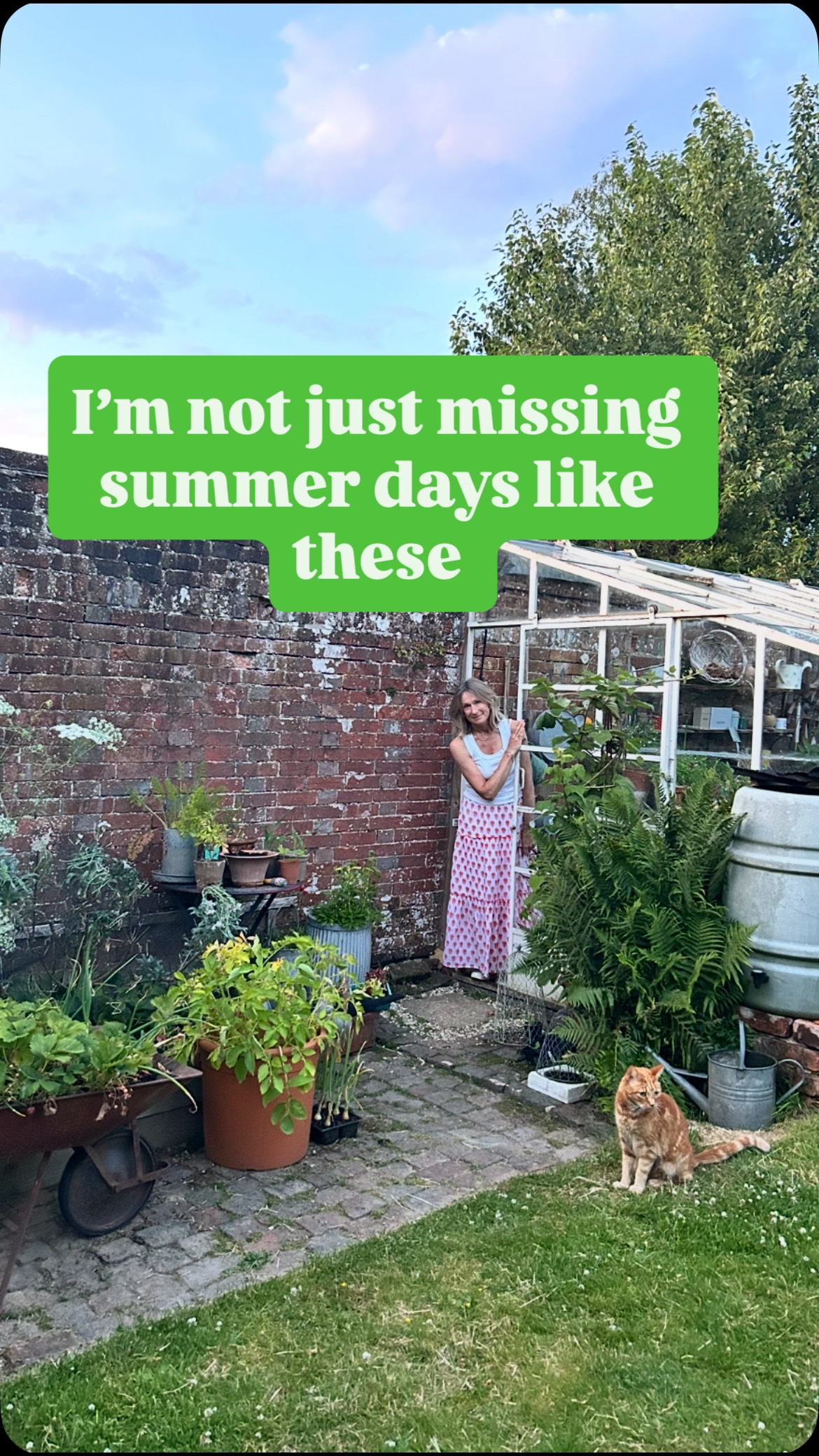 February is the month to start sowing tomatoes, yippee 🍅🍅🍅
I sow mine in propagators in the greenhouse and once they are big enough to handle I transplant each seedling to a small pot still in the warm propagators.
Only when the weather warms up will I move them to the bench to harden off and acclimatise.
Then I’ll pot them on again and after Easter I move them to the raised bed still in the greenhouse. They grow in grow bag compost on top of my raised bed and here they stay. I rarely grow tomatoes outside, I find they fruit too late for me or not at all if we have a bad summer.
This year I’m looking to add another unusual tomato but it has to be tasty, any suggestions please tell me 🍅🌱