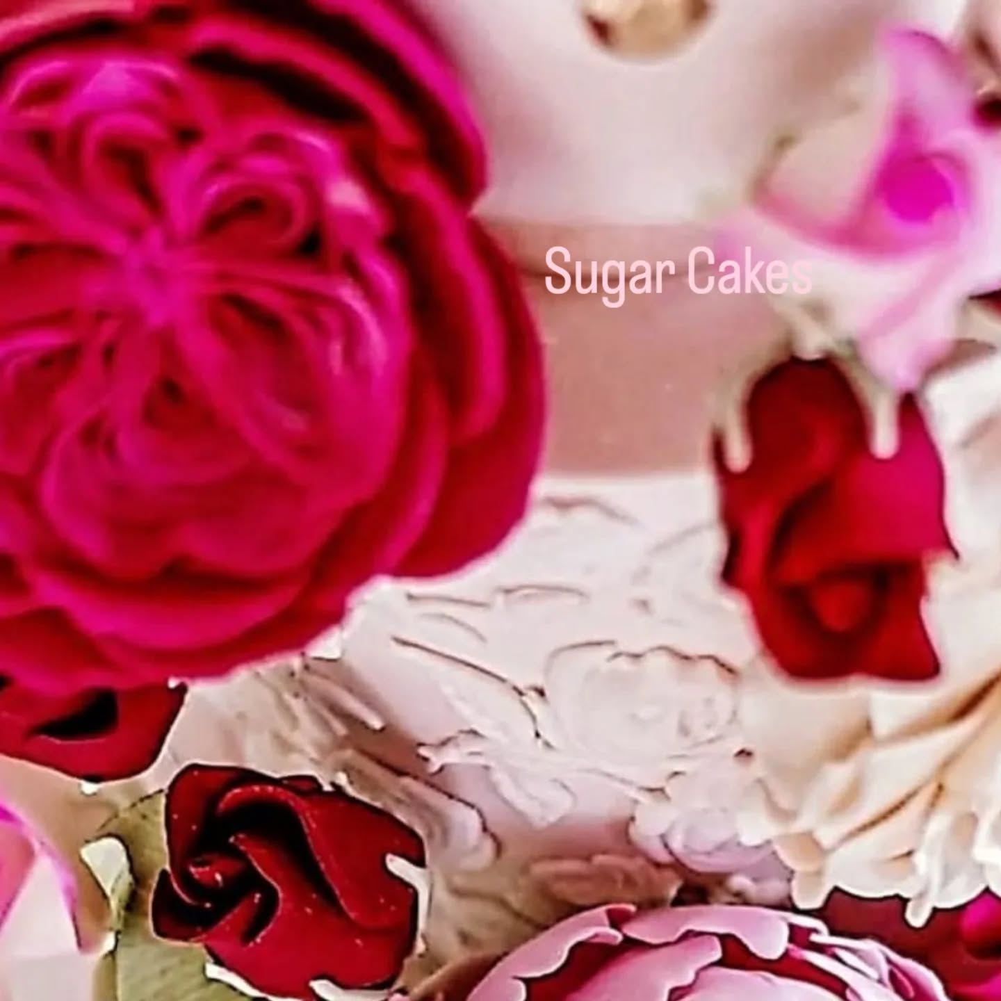 Handcrafted gum paste flowers🩷
Most beautiful color range for edible flowers @barco_bake
#gumpaste #handcraftedwithlove❤️ #handcraftedflowers #cake #edibleart