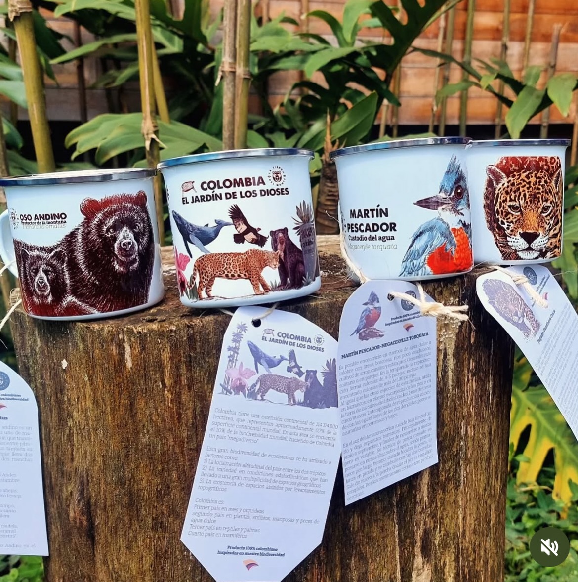 Para el cafecito 🔥
Mug peltre, 8 onzas.
13 diseños disponibles. Puedes pedirlos en :
www.latiendadelmonte.com