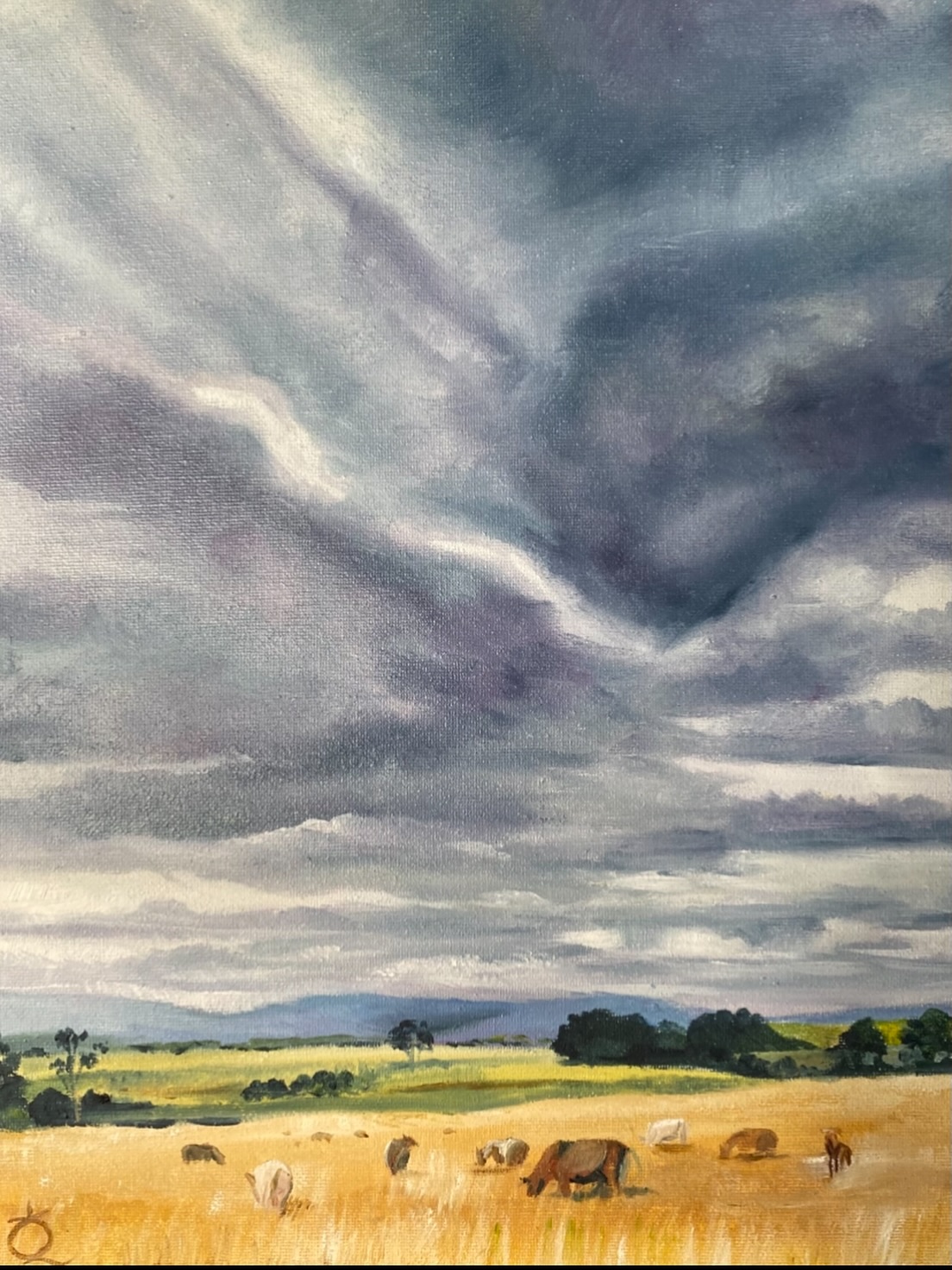 Grazing Cattle, Cressbrook
Oil on canvas
The vagaries of digital living when you are not a digital native… I realised this work was only being seen in a complete view by those who stick it out until the end of the reel I posted yesterday… and somehow the profile grid image fluffed… so have another dose! 🤣
The colours of the landscape here in Somerset have been so changeable with a dry period rolling on, and beautifully so… fingers crossed for rain on the weekend!
#lyndasampsonart #artist #artarchive #myart #somersetqld #somerset #seq #brisbanevalley #oilpainting #oiloncanvas