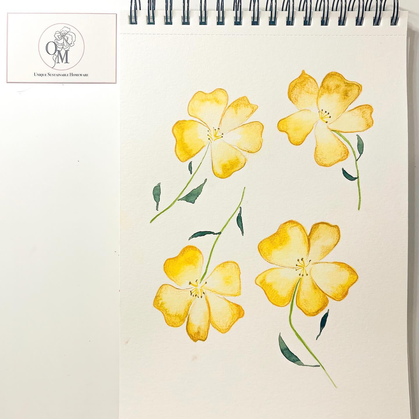 Evening Primrose Drawing. Using watercolour with added coloured pencil details for my British Wildflower collection. #watercolourflowers #watercolourpainting #windsorandnewton #colouredpencils #prismacolor #handdrawn #handpainted #textiles #flowerart #natureartist #smallbusiness