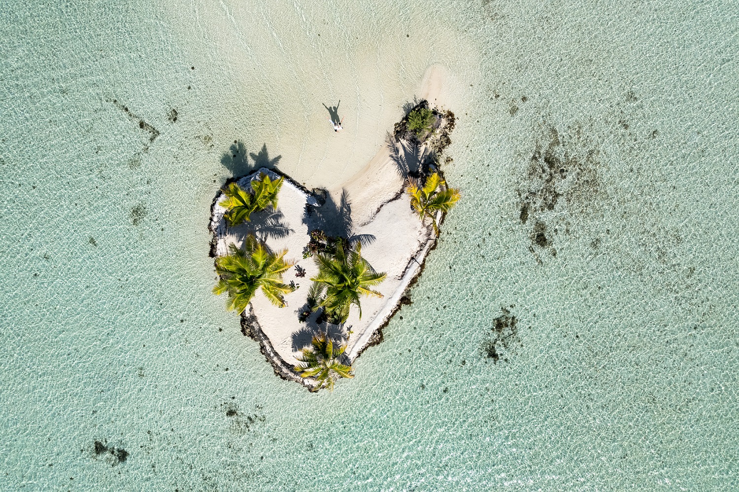 Remar hacia lo extraordinario
En canoa, descubrir motus secretos como este, cerca del motu en forma de corazón del hotel Le Taha’a, donde la laguna se convierte en un terreno de juego y la emoción guía cada instante.
.
Paddling toward the extraordinary
By canoe, discovering secret motus like this one near the heart-shaped motu of Le Taha’a, where the lagoon becomes your playground and every moment feels unforgettable.
📷 @letahaabypearlresorts
#MoemoeaTravel #FrenchPolynesia #PolinesiaFrancesa #IslandExperiences #Taha’a #LuxuryTravel #LoveTahiti