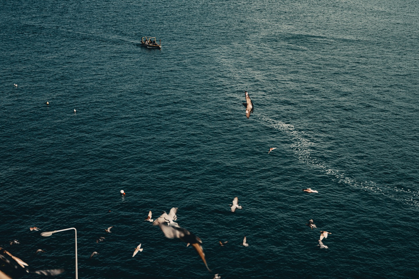 Clear blue sea.
Clear blue skies.
