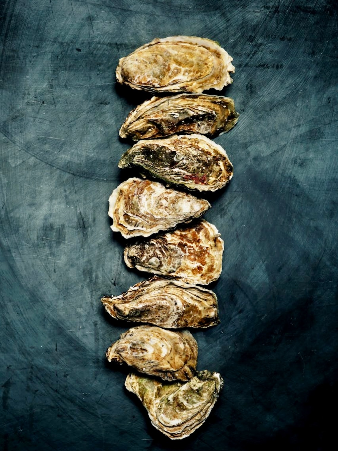 Level up your Valentine’s menu or upgrade your sales with the finest shells in the business. 🦪
We know that for a Valentine’s service, consistency is everything. Our oysters have a deliciously clean, saline finish that holds up perfectly whether served au naturel or under a hot grill.
Don’t leave it too late, if you still need to finish your order for the big weekend ahead, please get in touch asap.
#shellfish #oysters #oystersonthehalfshell #valentinesmenu