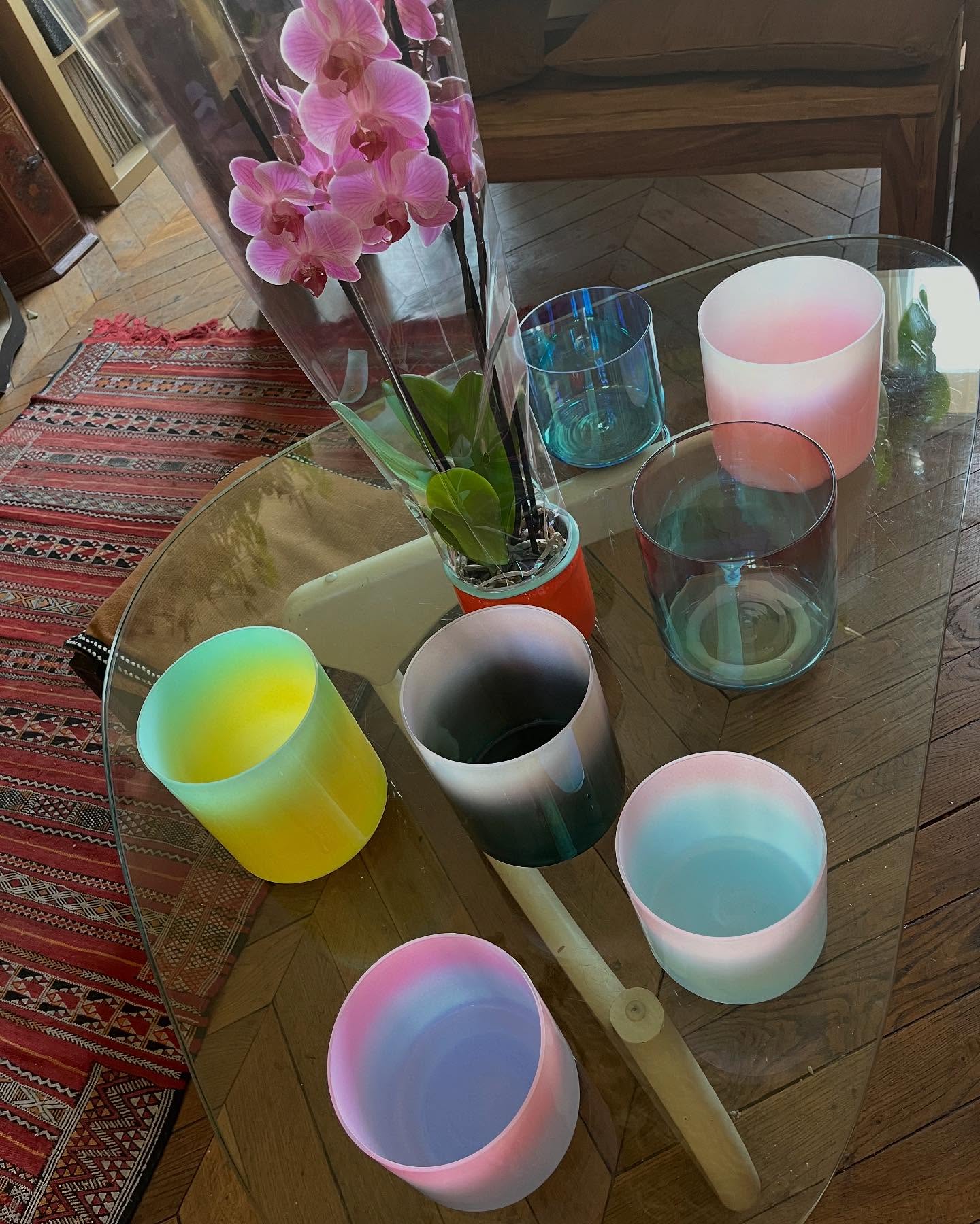 je suis heureuse de vous présenter mes sept nouveaux bols de cristal irisés et de couleur, absolument magnifiques, dont le cristal, le quartz est très pur… J'utiliserai ses nouveaux instruments pour les bains sonores de ce week-end :
2 Bains Sonores ce we :
:
de 14.30 -16.30 et de 17.15-19.15
Il y a 12 personnes par session, soyez les bienvenus en ce jour on va célébrer l'amour inconditionnel.
Les bains sonores/healing sound
sont des relaxations profondes de tout votre être à travers les sons vibratoire de mes instruments de musique.🎵
Soyez les bienvenus pour vous célébrer et célébrer l'Etre d'amour , divin, sacré , unique , de lumière que vous êtes … Une belle occasion de s'offrir un cadeau qui se qui nous fait du bien de l'intérieur dans le corps, l'âme et l'esprit
. C'est une sieste, une relaxation sonore profonde, de tout votre être à travers les fréquences vibratoire de mes instruments de musique.
c'est comme un soin individuel énergétique, mais en groupe, chacun recevra exactement le soin qu'il doit recevoir, car les vibrations se diffusent grâce au liquide de votre corps pour aller toucher exactement les zones de tension ou bloqué dans votre corps physique.
Vous n'avez rien à faire juste à vous détendre et vos relâcher profondément pour libérer le stress, la fatigue, les peurs, toutes émotions bloquantes , toutes les tensions et douleurs dans votre corps physique, mais aussi pour lâcher le mental, lâcher totalement prise et retrouve la confiance en soi et en la vie.
Vous êtes parfait comme vous êtes.
Tarif 40 € pour deux heures de bonheur dans la bienveillance et le partage.
Information 06 62 77 45 55
lien de réservation : https://admin.helloasso.com/holirainbow/evenements/sieste-bain-sonore/edition/1
#bainsonoreparis #bainsonorevibratoire #healingenergytools #healingenergytools #relaxationmassage #relaxationprofonde #lâcherprise #rayonnersalumière #retrouverlaconfianceensoi #libererlestensions
place limitée à 15 personnes maximum.