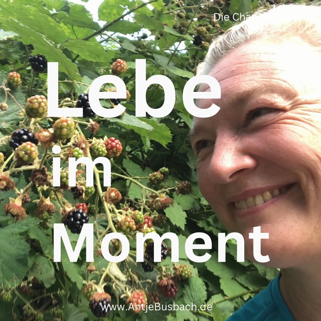Nimm dir Zeit, um allein zu sein, zu meditieren oder eine Aktivität zu tun, die dir hilft, im Moment zu bleiben.
Du bist die wichtigste Person in deinem Leben.
Manchmal reicht ein einziger echter Moment – und du erinnerst dich wieder, wer du bist.
Deine Lebensqualität verbessert sich. Du wirst lebendig!
Herz über Kopf wieder leben. Direkthilfe in Krisenzeiten.
https://kurzlinks.de/wo23
Ich zeige dir wie du wieder in dein Strahlen kommst, trotz eines stressigen Alltags. Du lernst, wie du Krisen spielend meisterst, in dem ich dir meinen stärkenden Werkzeugkasten für Zuversicht und Lebensfreude an die Hand gebe, damit du ein rundum erfülltes Leben genießt.
* Der Beitrag war ein Augenöffner? Teile ihn doch in deiner Story und mit deiner Community!
* Speicher dir den Post ab, damit du immer wieder drauf zurückgreifen kannst.
* Der Beitrag gefällt dir? Dann gib mir gerne ein Like.
* Markiere die Person, die diesen Beitrag nicht verpassen darf!
Feel Freude und fühl Vergnügen
Antje Busbach - die Chancenseherin
#chancenseherin #AntjeBusbach #frauenimstress