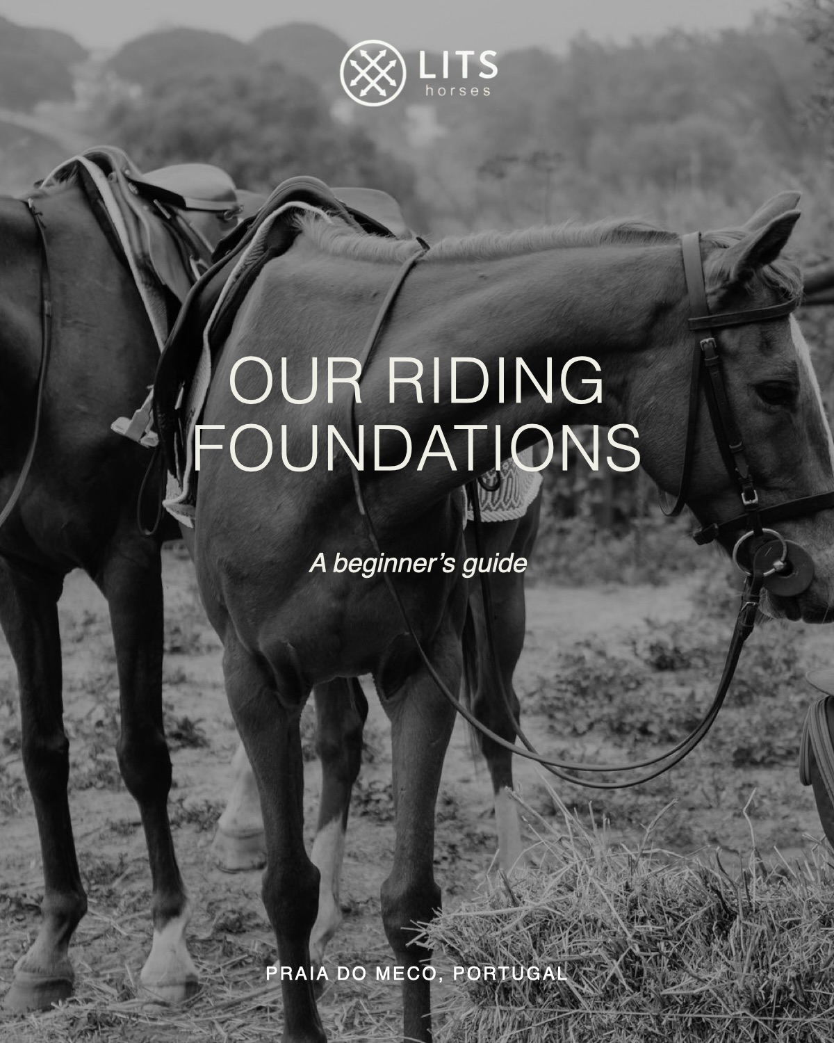 Riding is not instinctive. It is taught.
Understanding connection, balance and communication protects both rider and horse.
At LITS Horses, foundations are part of every experience — whether beginner or experienced.
Education is part of responsible horsemanship.
#litshorses #horsebackriding #passeioacavalo #portugal #lisbonadventures