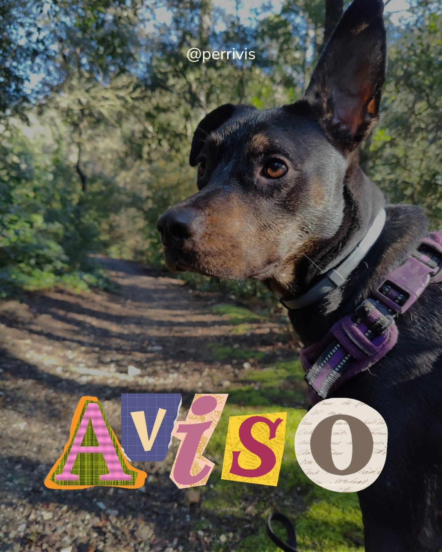 Información sobre cambios y un pequeño friendly reminder 💙