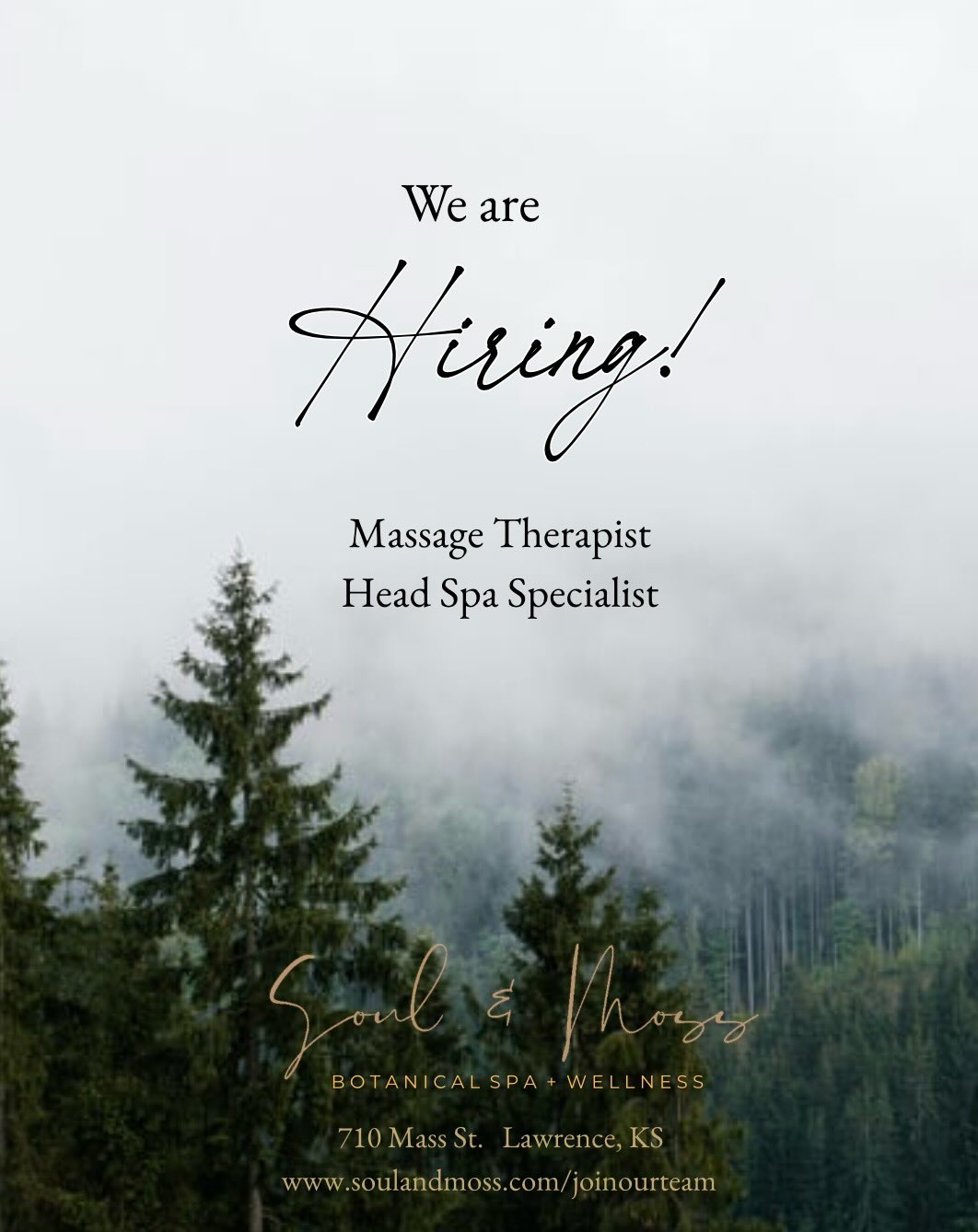 We are currently hiring for a part time Massage Therapist and a Head Spa Specialist. Visit our link in bio for more info!
#nowhiring #joinourteam #massagetherapist #headspa #lfk