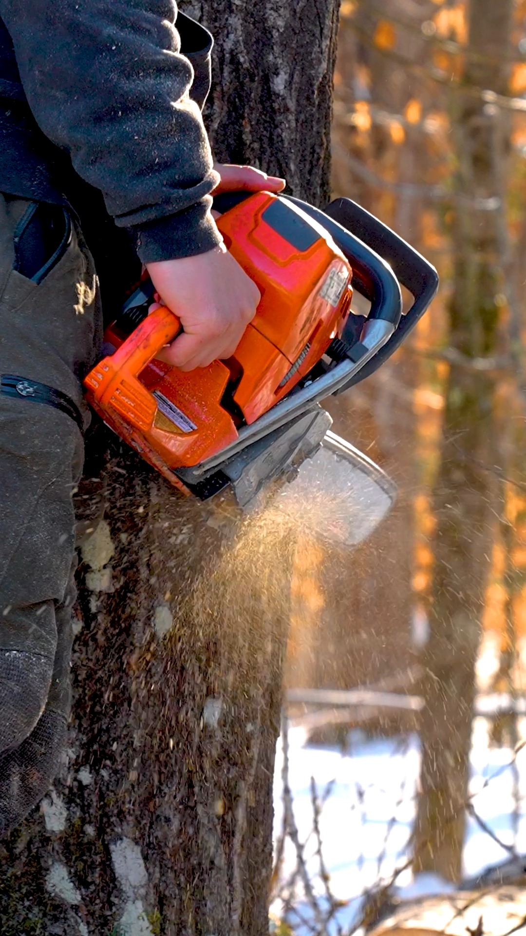 Would you watch the full episode? 👀
.
.
.
.
#belangertreecare #arborist #arboristsofinstagram
#skowhegan #skowheganmaine #forestry #chainsaws
#centralmaine #mainebusiness #treecare
#treecarebusiness #treeclimbers #logging