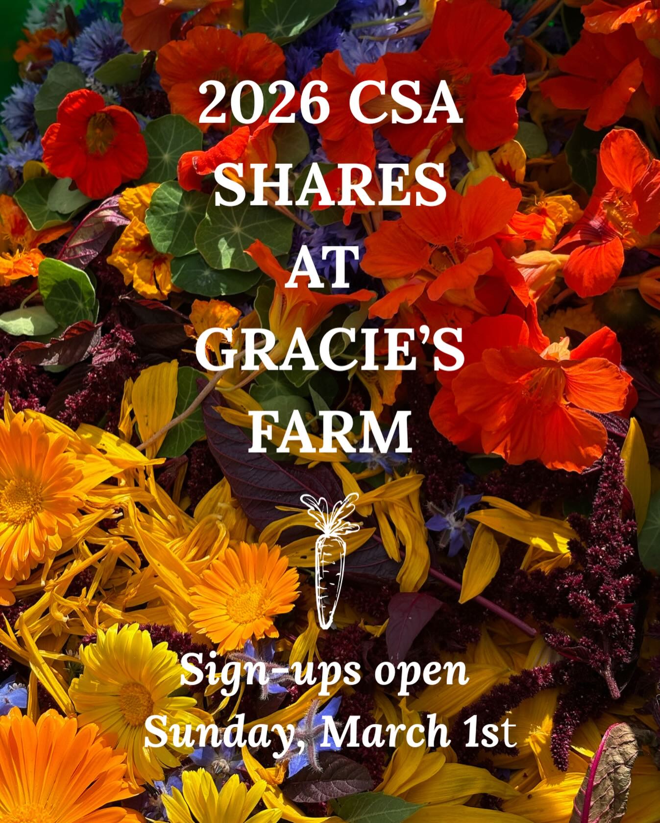 Mark your calendars 📆
2026 CSA SHARE SIGN-UPS OPEN MARCH 1ST 🌿
What you can expect:
• 20 weeks of peak-season vegetables
• Weekly rhythm + connection to your food
• Supporting local agriculture
Sign up through our website on March 1st, or head there now to learn more! 🧡