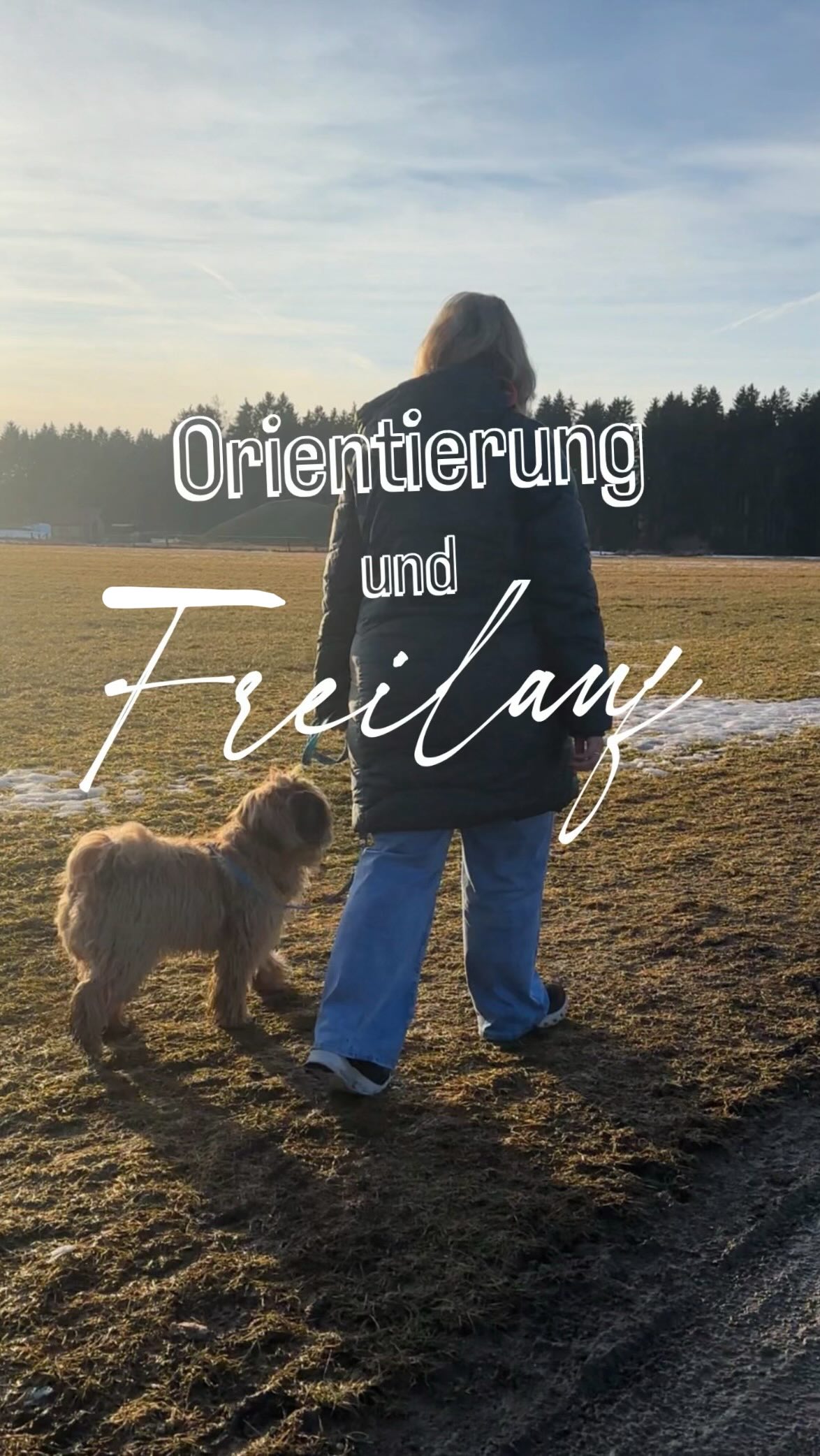 Was hat das denn mit Freilauf zu tun? 👀
Dieses Team ist aktuell im Junghundebegleiter bei mir im Einzelcoaching und hat sich schon ganz viele Basics erarbeitet! 🫶🏼
Dran bleiben lohnt sich, denn dann wirds später einfach und trotzdem darf der Alltag auch Alltag sein und nicht jede Gassirunde muss Training sein!
➡️ Freilauf beginnt bereits bei der Orientierung am Menschen im Freizeitmodus
➡️ Freizeit Modus bedeutet nicht, dass dein Hund machen darf was er will
➡️ Regeln im Miteinander müssen beigebracht werden
Training ist ein Weg, ein Prozess - es gibt keinen Trick 17 - Orientierung beginnt nicht erst im Freilauf!
Ich bin sehr stolz auf die 2. Beide machen es wirklich toll 🤗
ERZIEHUNG
HUNDETRAINING
JUNGHUNDE