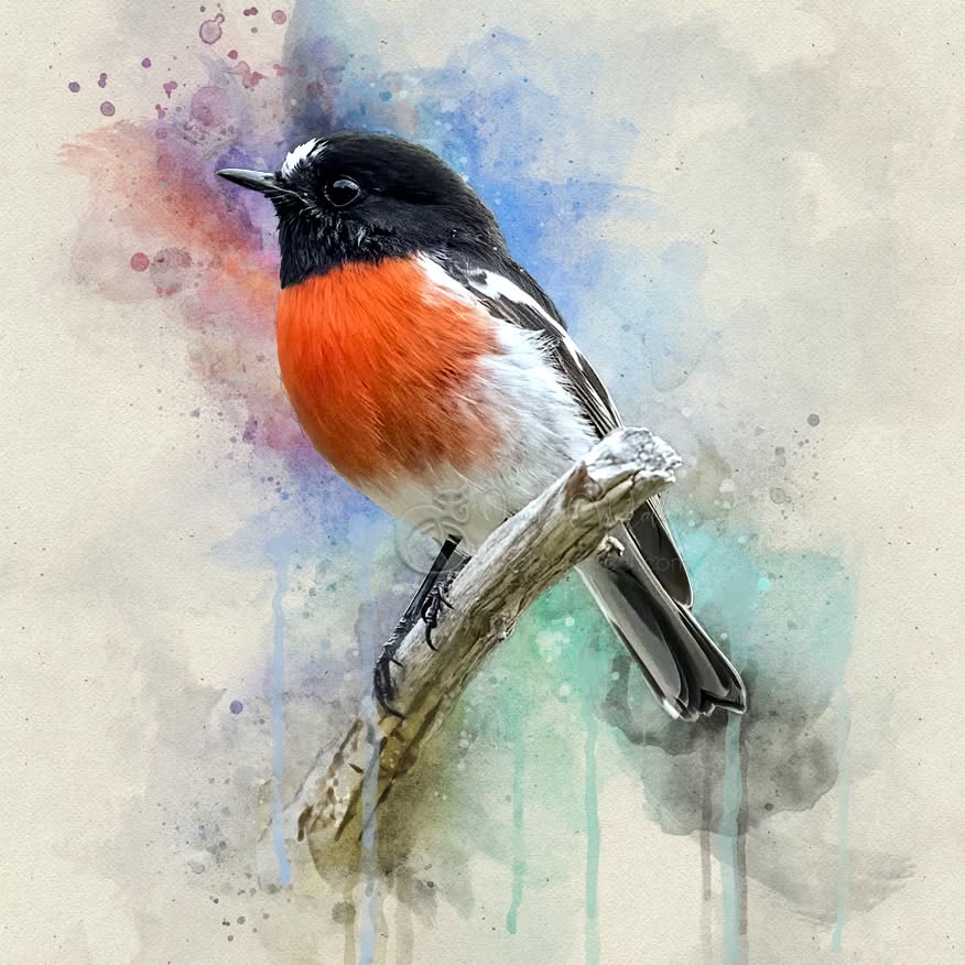 "Always remember: your focus determines you're reality."
- Qui-Gon Jinn
.
.
.
.
.
.
.
.
.
.
.
#pixelpurrrfectphotography #ScarletRobin #exquisitepics20_australia #rebel_artandedits #mcl_arts #illustrious_art #artistry_flair #super_photoeditz #edit_lovers_united #wildlife_artistry #birdsofaustralia #Creative_AnimalArt #bpa_arts #photo_creation_silver #rebels_nature #rebels_united #explore_wildlife #wonderland_arts #art_andfact #galleria_of_grace #illustrious_magic #dreamland_arts_of_nature #rawedit_
#australianbirds #wildlife_artists #everything_animals #nature_perfection #everything_imaginable #pictas_art