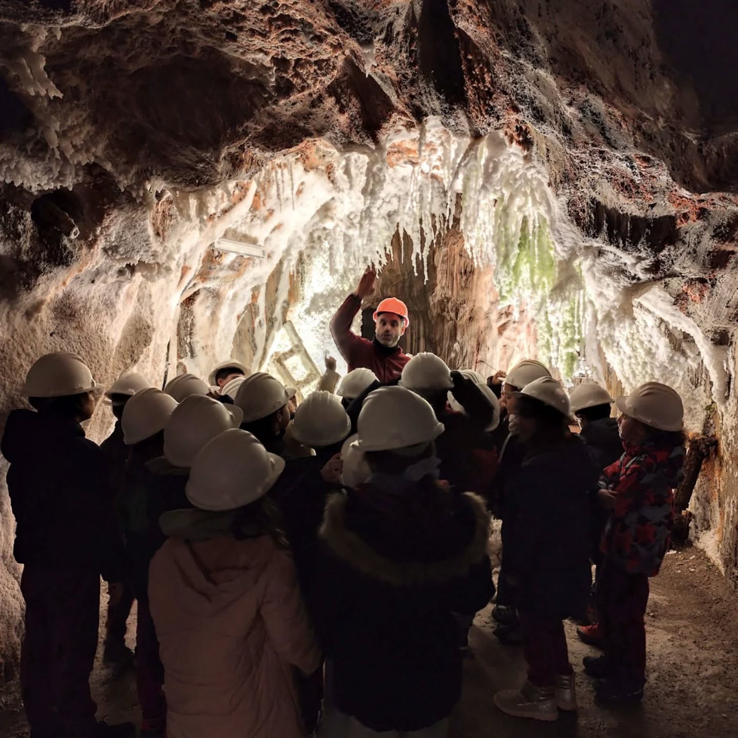 Fa uns dies, els nens i nenes de 3r de #Primària van fer una visita a la muntanya de sal de Cardona, com a part del projecte dels sectors econòmics que treballen dins l’àrea de coneixement del medi! 🏔️