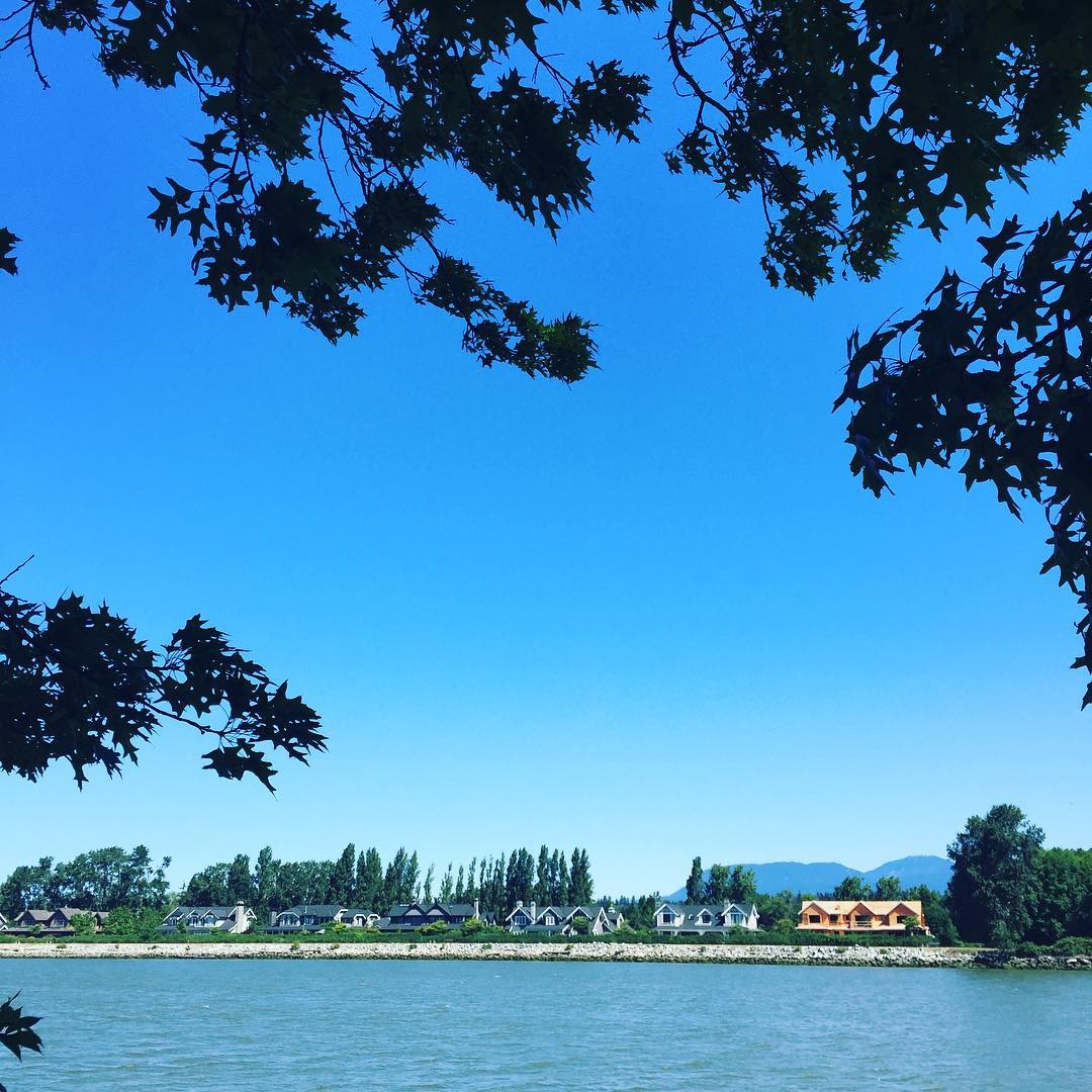 HAMPTONS VIBES in #vancouver #southlands #waterfront #riverfront #vancity #realestate #realtor #vancouverrealtor #equestrian #fraserriver #musqueam #newconstruction