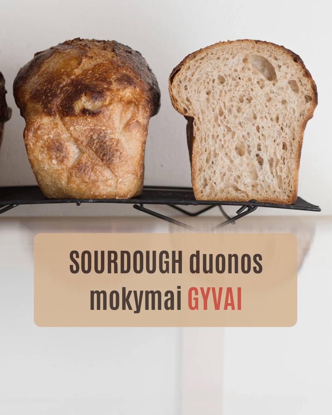Raugas ir duona – mūsų kepyklos širdis. O mokymai – būdas tuo pasidalinti.
Skelbiame kovo mėnesio datas 🙌🏻
🍞 Sourdough duonos mokymai (I lygis) – jei norisi pradėti ramiai, nuo pagrindų, suprasti visą procesą ir susidraugauti su raugu be streso.
🍞 Sourdough duonos mokymai (II lygis) – NAUJIENA ✨
Skirti jau kepantiems ir norintiems išmokti kepti sourdough su priedais ir skirtingų rūšių duonas su raugu.
Abiejose mokymuose dirbame mažoje grupėje (tik 7 vietos), todėl galime skirti dėmesio kiekvienam.
Būna daug klausimų, daug „aha“ momentų ir daug tešlos rankose 🙂
Jei jau kurį laiką galvojate „gal laikas“ – galbūt tas laikas dabar.
Daugiau informacijos ir registraciją rasite: www.pmalunas.lt/mokymai