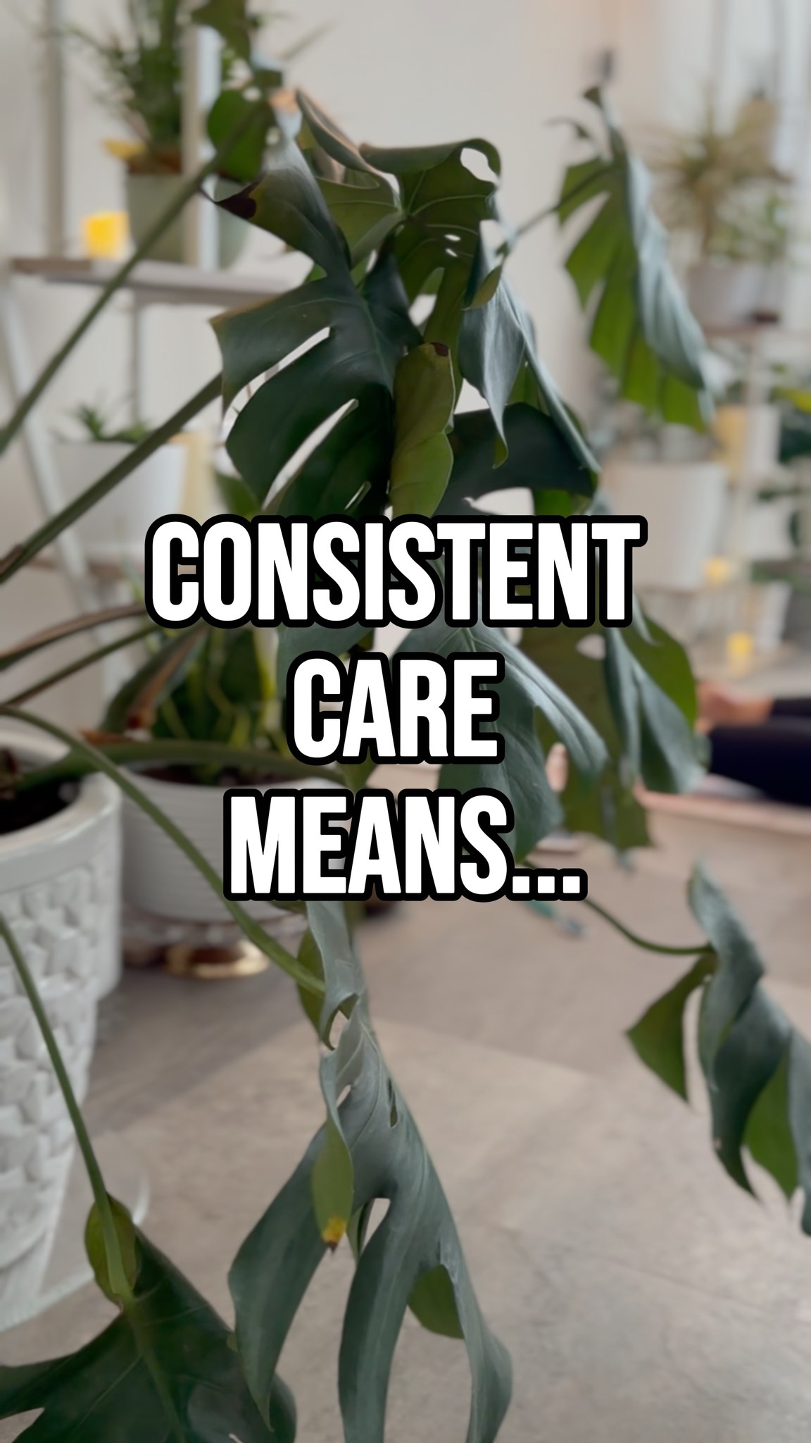 Your nervous system LOVES consistency.
A weekly class. A familiar teacher. A space that feels safe.
Coming back again and again improves circulation, supports mobility, lowers stress hormones, and regulates your nervous system.
✨ Consistency is care.
Join us for class or book a massage, at www.atlasyogaandmovement.com