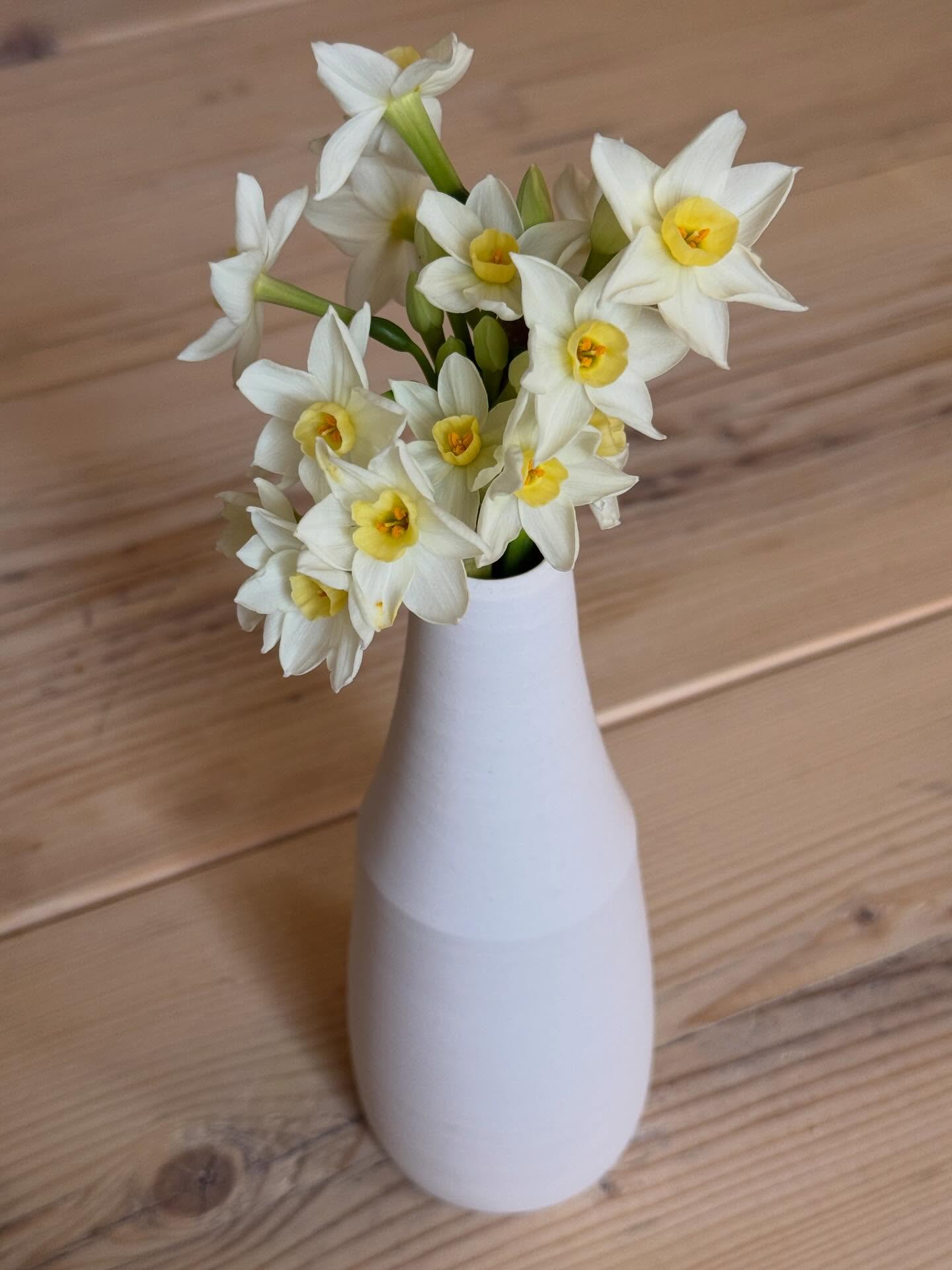These scented narcissi are perfect in this porcelain vase I made during a workshop with @jo_davies_ceramics @clayshedbristol last year #jenmakespots #narcissi #springiscoming