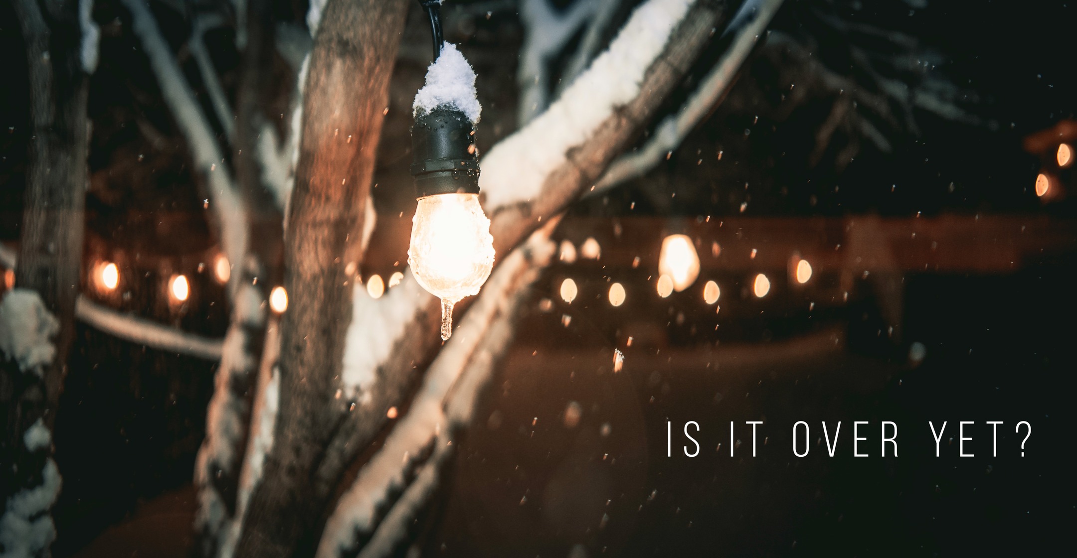 Went into my backyard during a blizzard to test an anamorphic lens for still photography. This felt like an album cover. #photography #albumcover #blizzard #connecticut #norwalkct