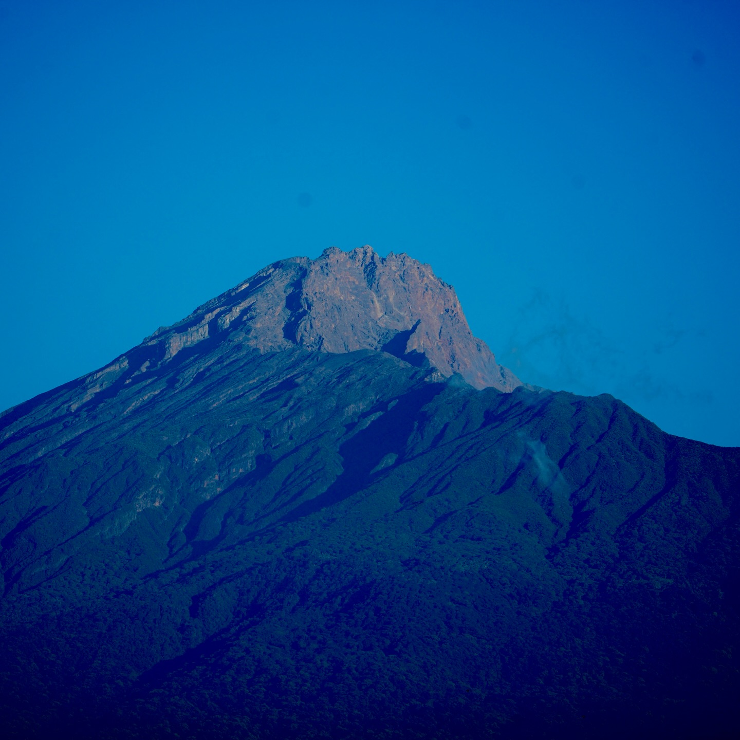 Peak views and wild encounters.
#bigfivetrails #arusha #meru #monkey #mountains
