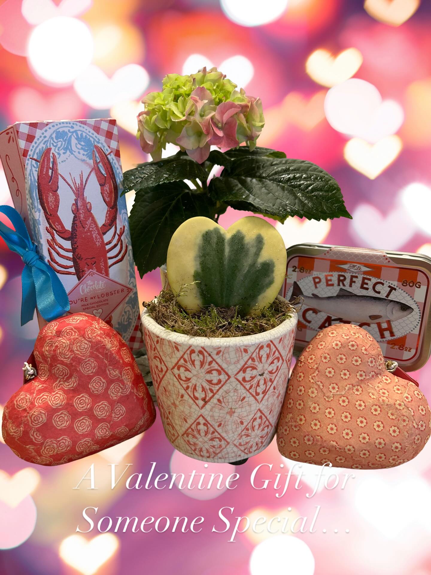 #Gifts #valentine#independent shop#marlborough#dogfriendlystore